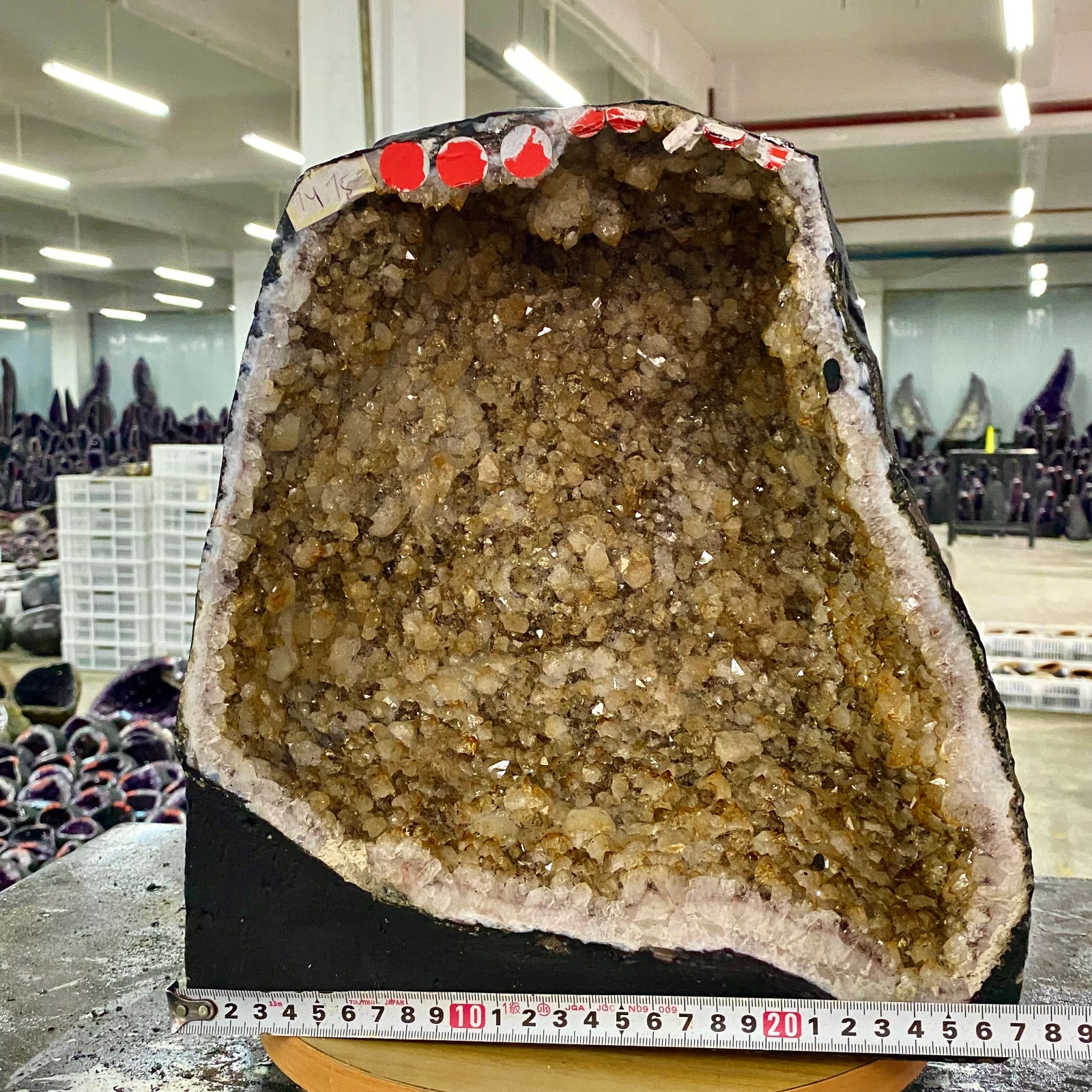 31LB  Natural citrine geode quartz cluster crystal cathedrals specimen healing