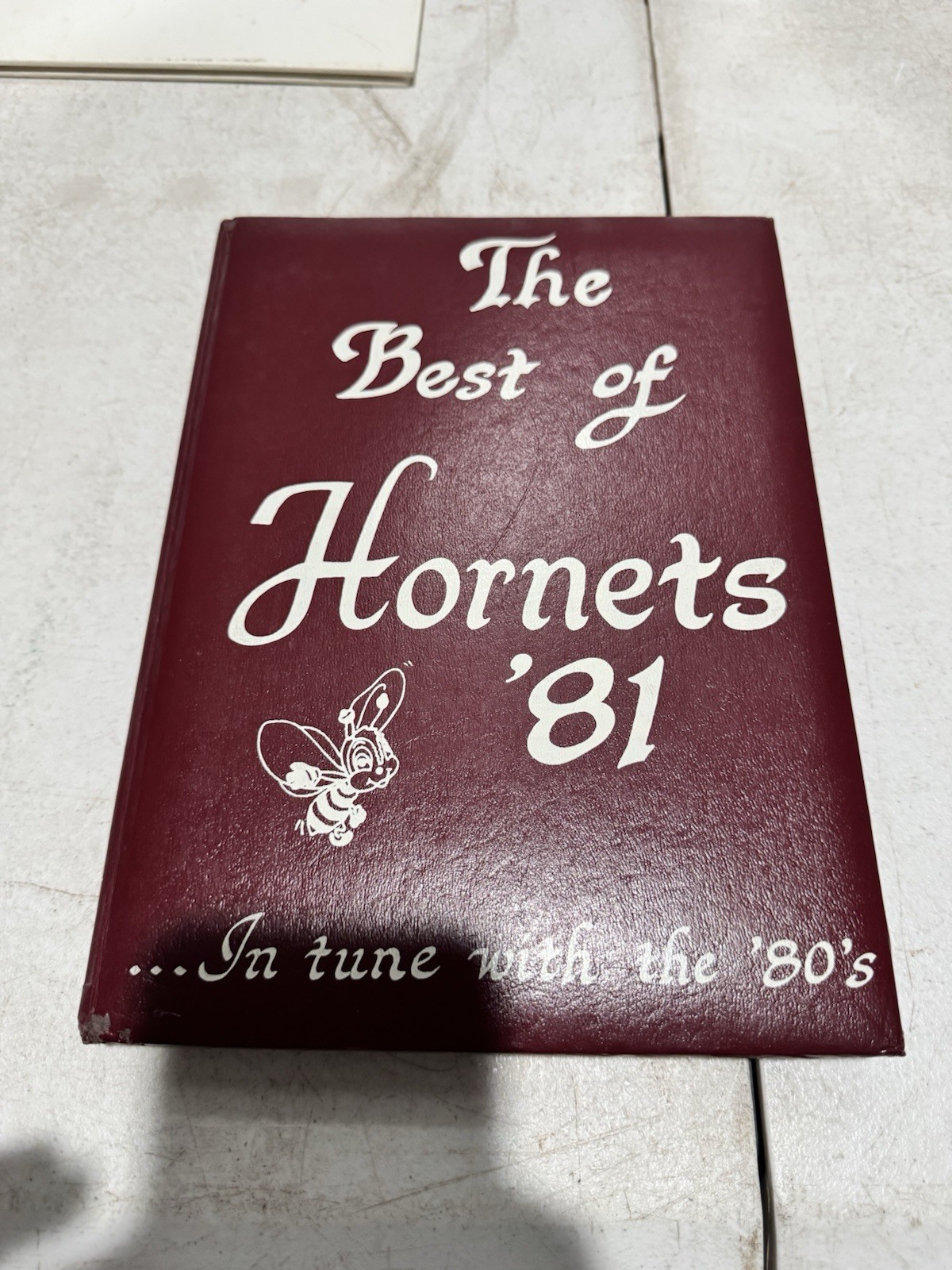 hudson hornet yearbook lufkin Texas Angelina County 1981