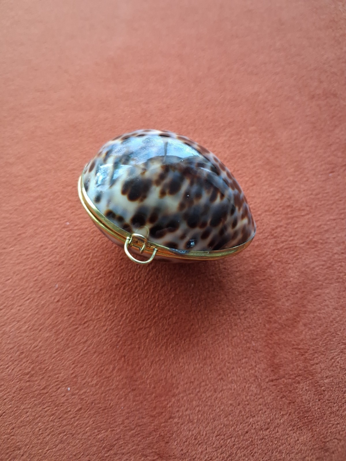 Vintage Leopard Cowrie Shell Trinket Pill Coin Box Brass Closure