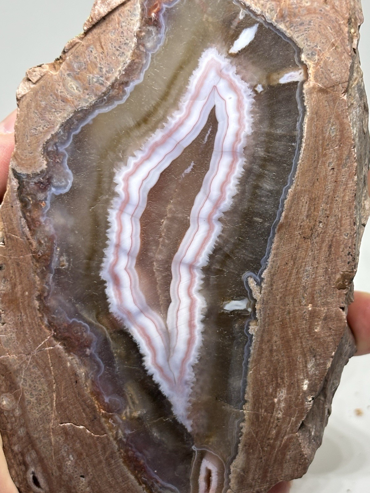 622g Rare Pink Banded Agate Raw Natural Specimen