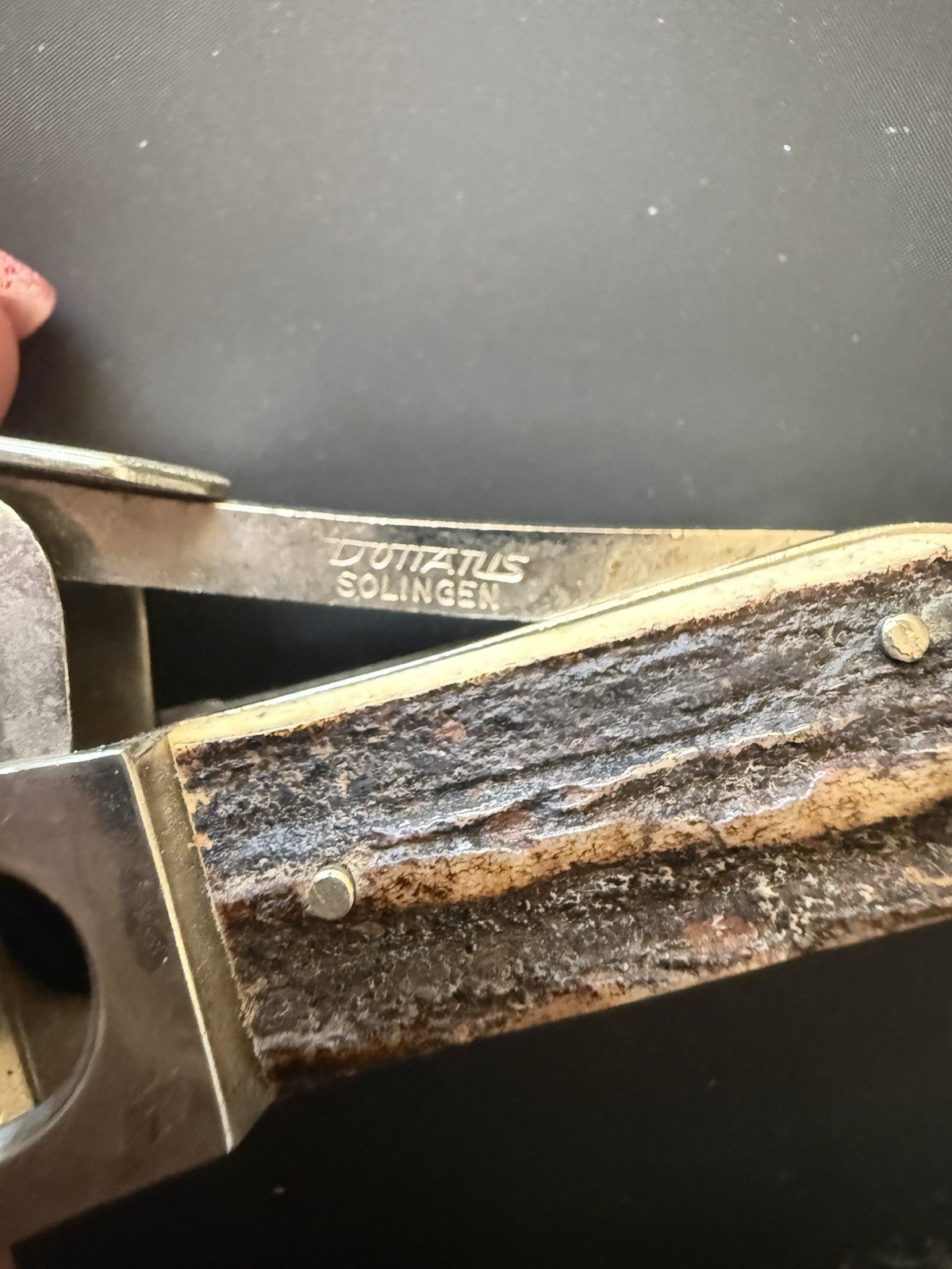 Rare Vintage German Donatus Solingen Cigar Cutter Stag Antler Handle Pocket Sz Rare Vintage German Donatus Solingen Cigar Cutter Stag Antler Handle Pocket Sz