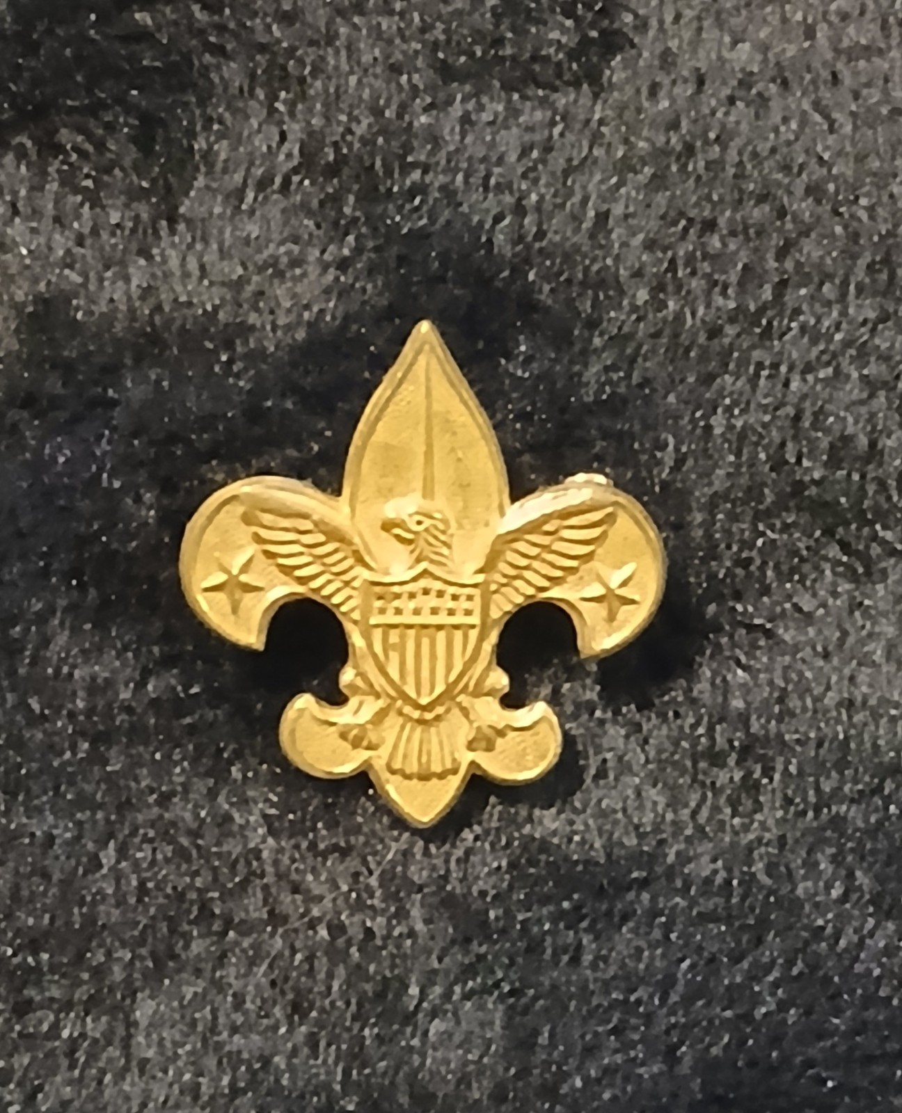 Vintage BSA Boy Scouts Fleur-de-Lis Eagle Pin PAT 1911 Bronze