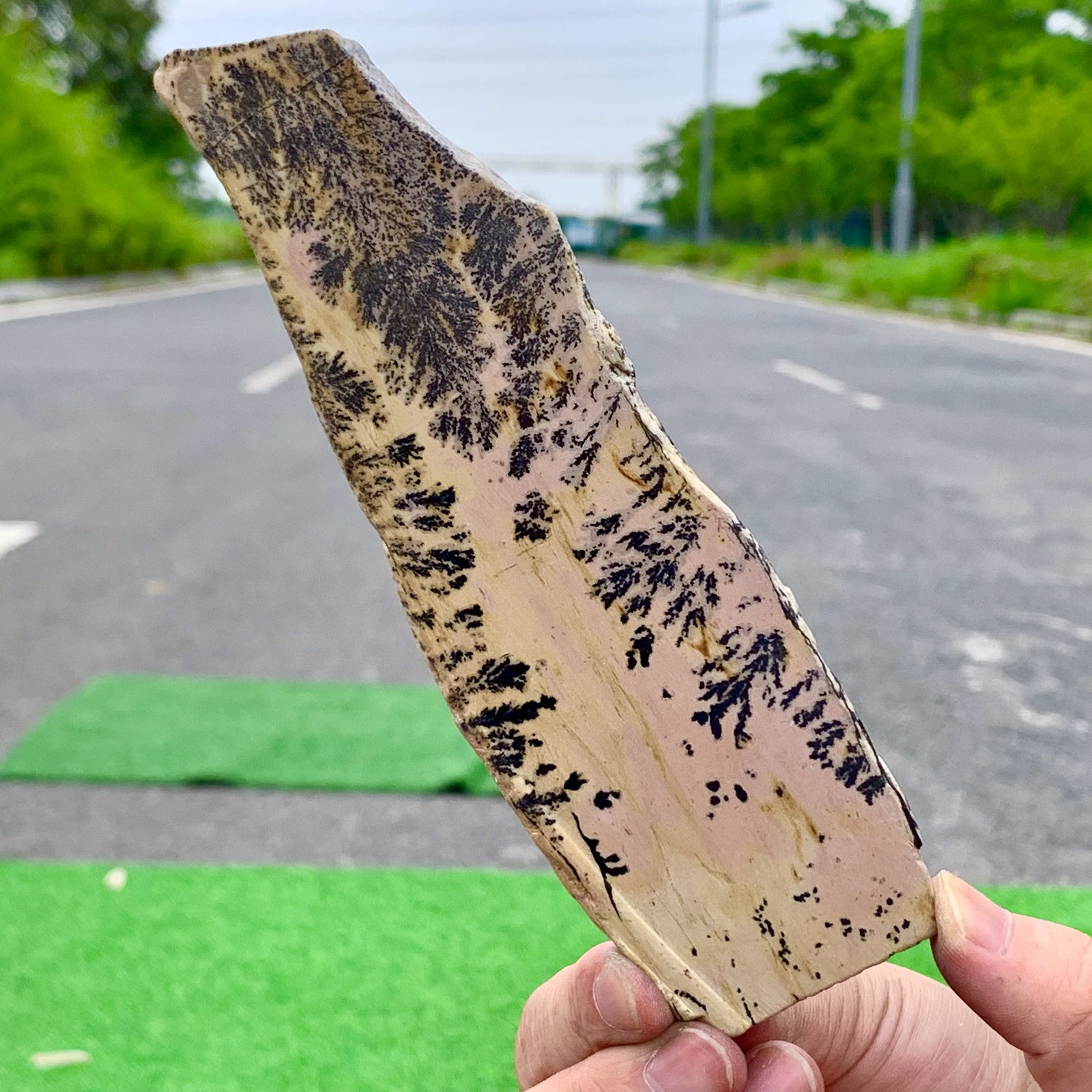 156G Beautiful Natural Chinese Dendritic Limestone Picture Stone Guohua -Rare