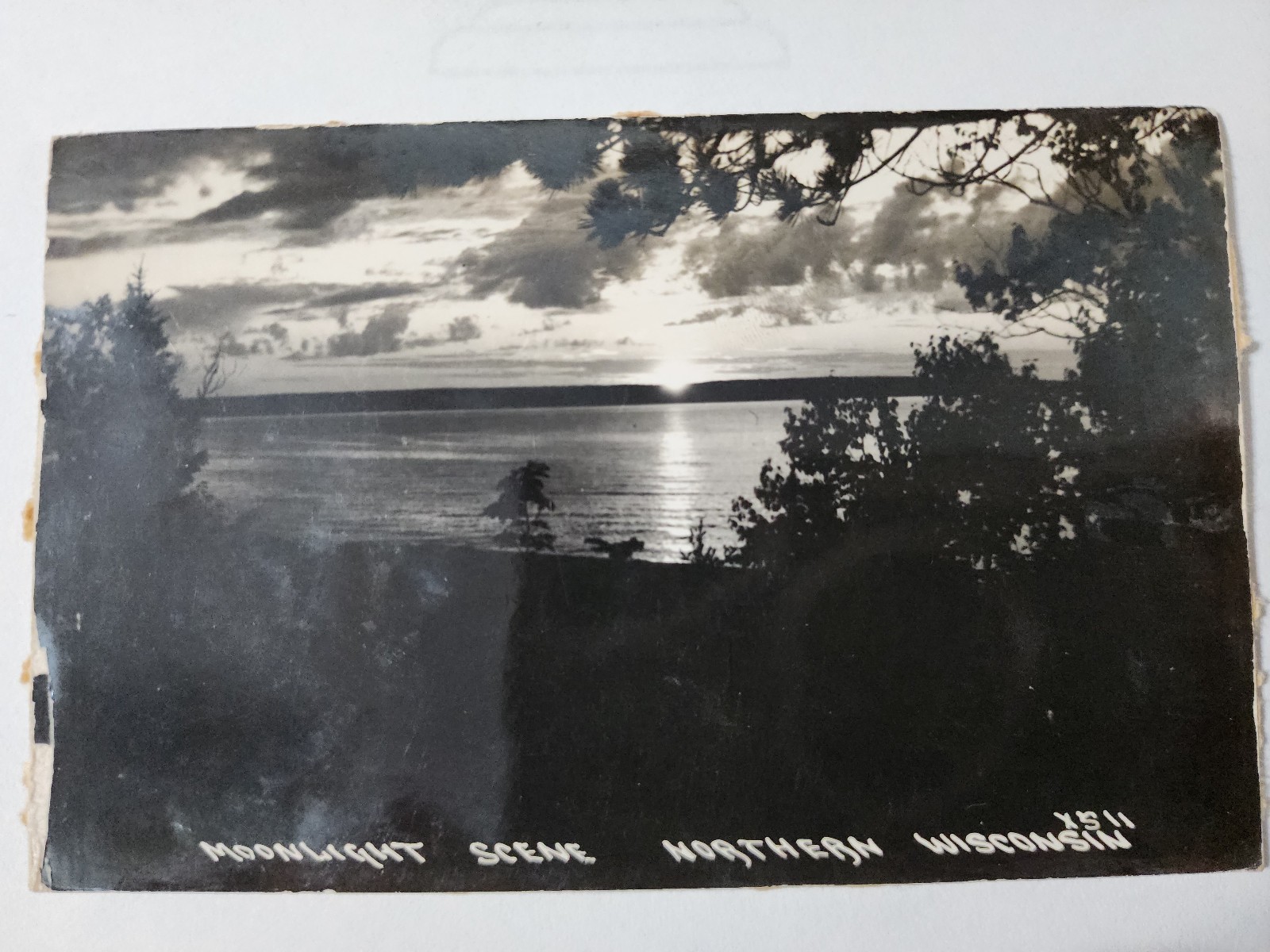Vintage RPPC Moonlight Scene Northern Wisconsin unposted