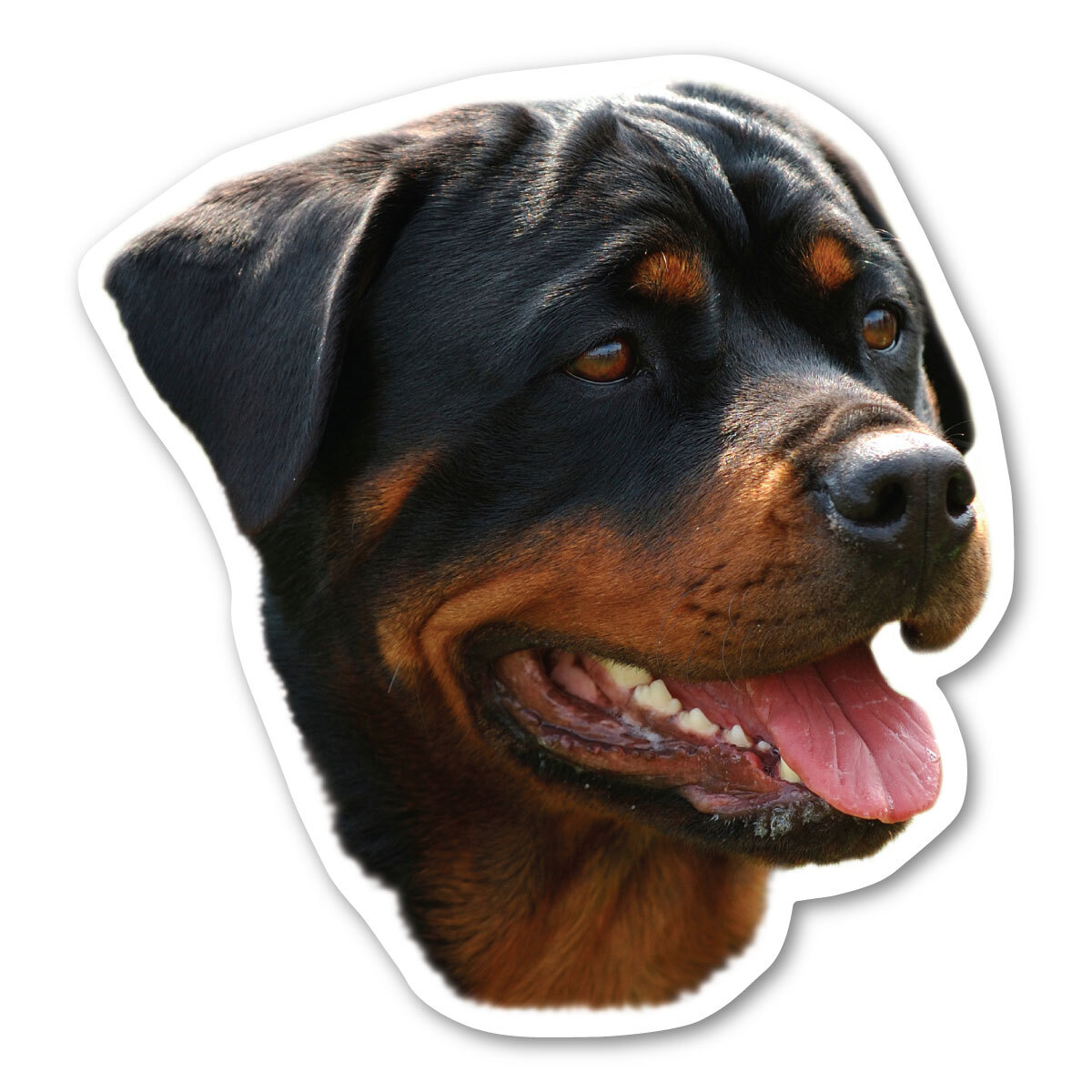 Rottweiler Magnet