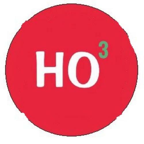 1 HO3 Ho Ho Ho Fun Christmas Holiday December 25th Button pin 2 1/4\