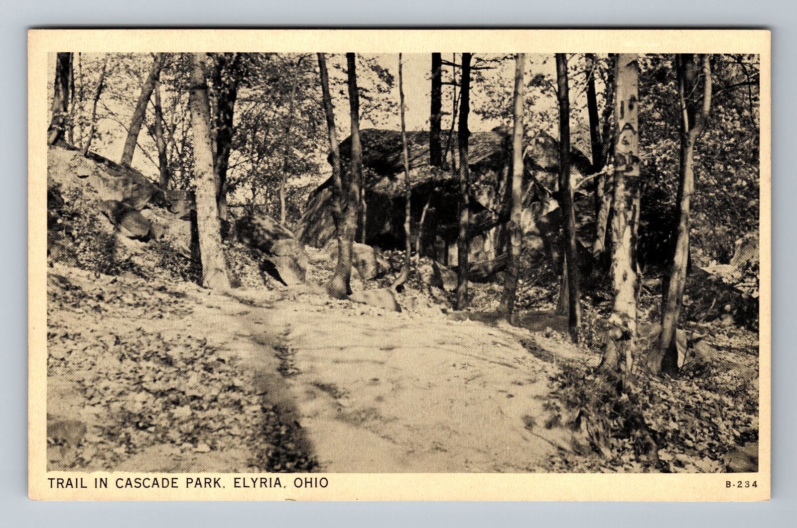Elyria OH-Ohio, Trail In Cascade Park, Vintage Postcard