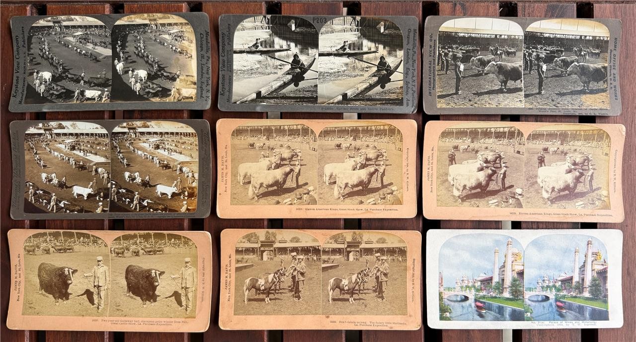 1904 Louisiana Purchase Expo St Louis Worlds Fair, Lot of 9 Stereoviews,Keystone