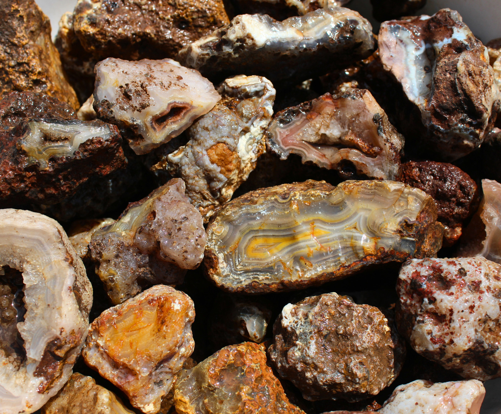 Picacho Agate Nodules - Rough Rocks for Lapidary/Cabochon - Bulk Wholesale