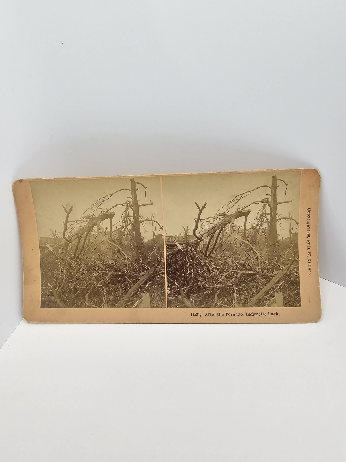 1886 B.W. Kilburn Stereoview Card Tornado Lafayette Park St. Louis Missouri