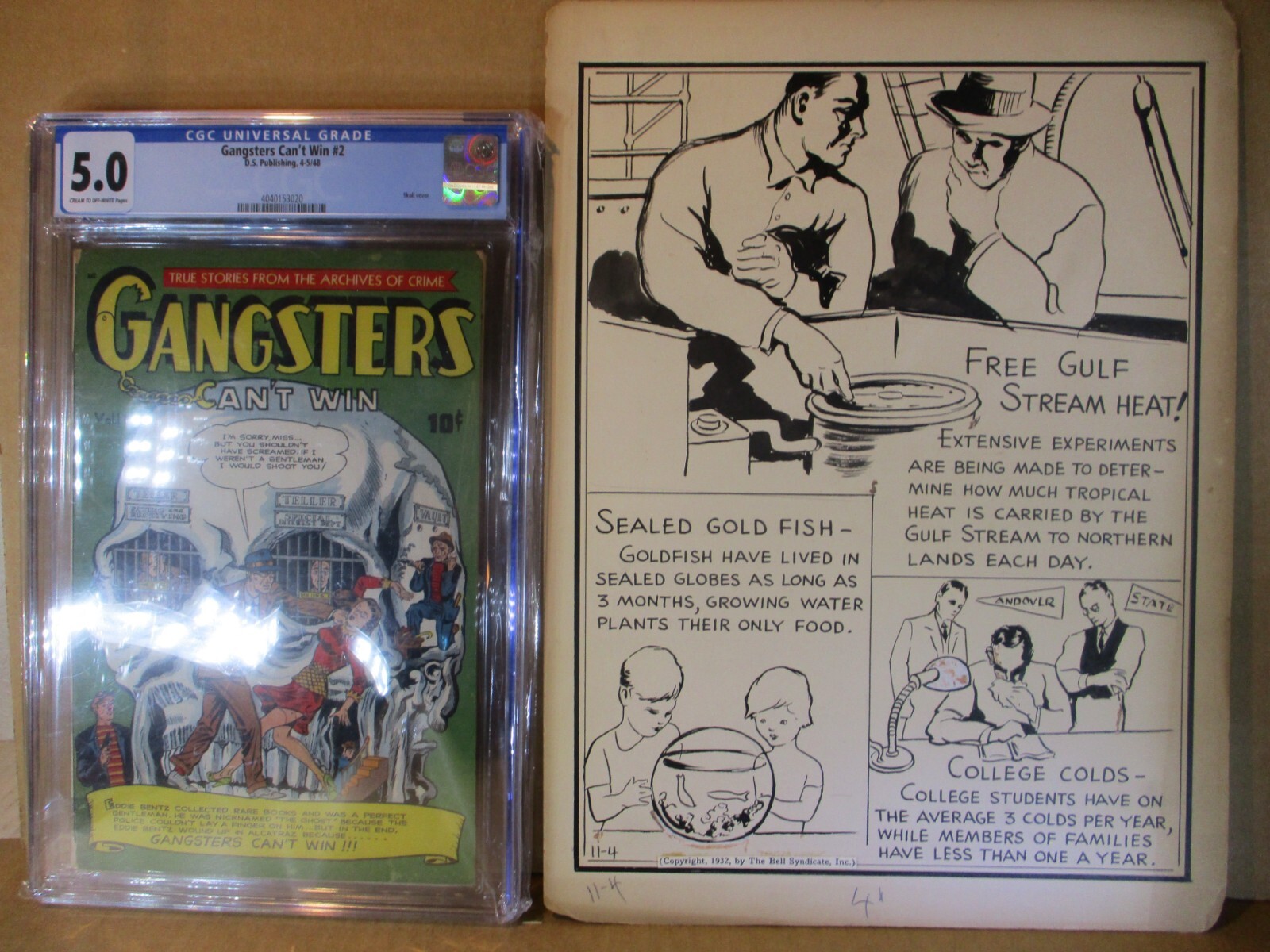 Ripley\'s Believe It Or Not ORIGINAL Nov1932 ART Strange As Seems Really Happened