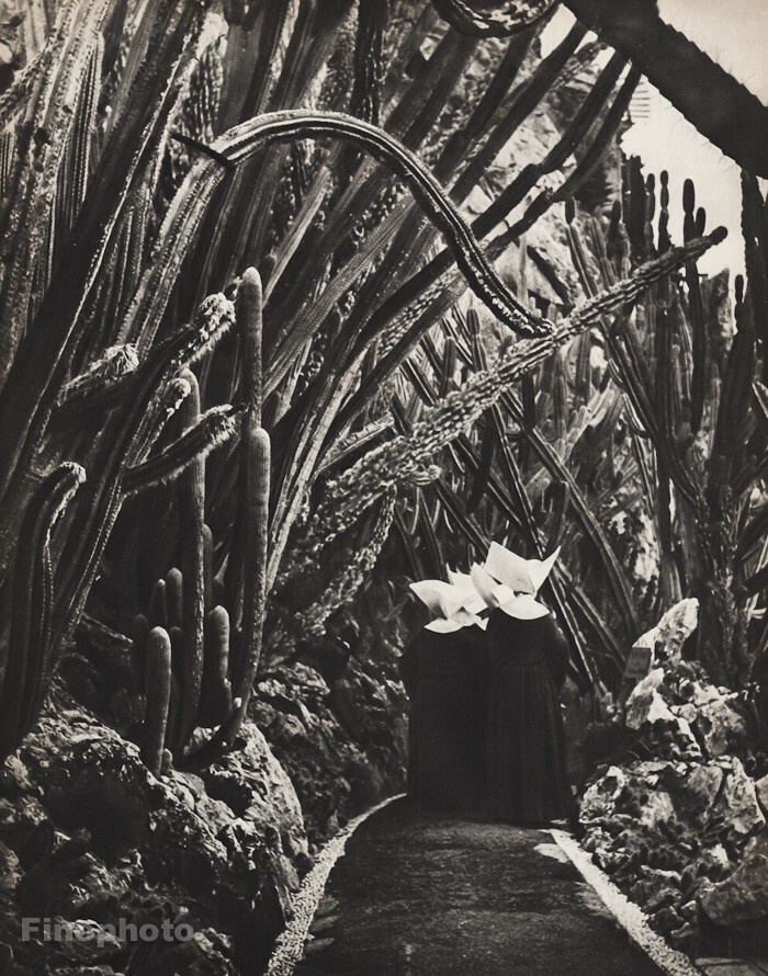 1940s Vintage BRASSAI Nuns Exotic Garden Monaco Cactus Photo Gravure Art 12X16