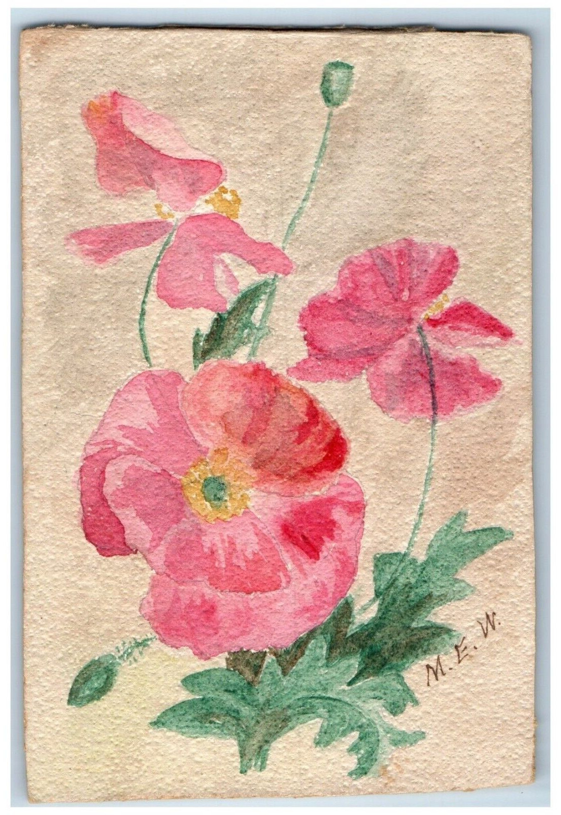 1908 Hand Painted Pink Flowers Franklin Nebraska NE Posted Antique Postcard