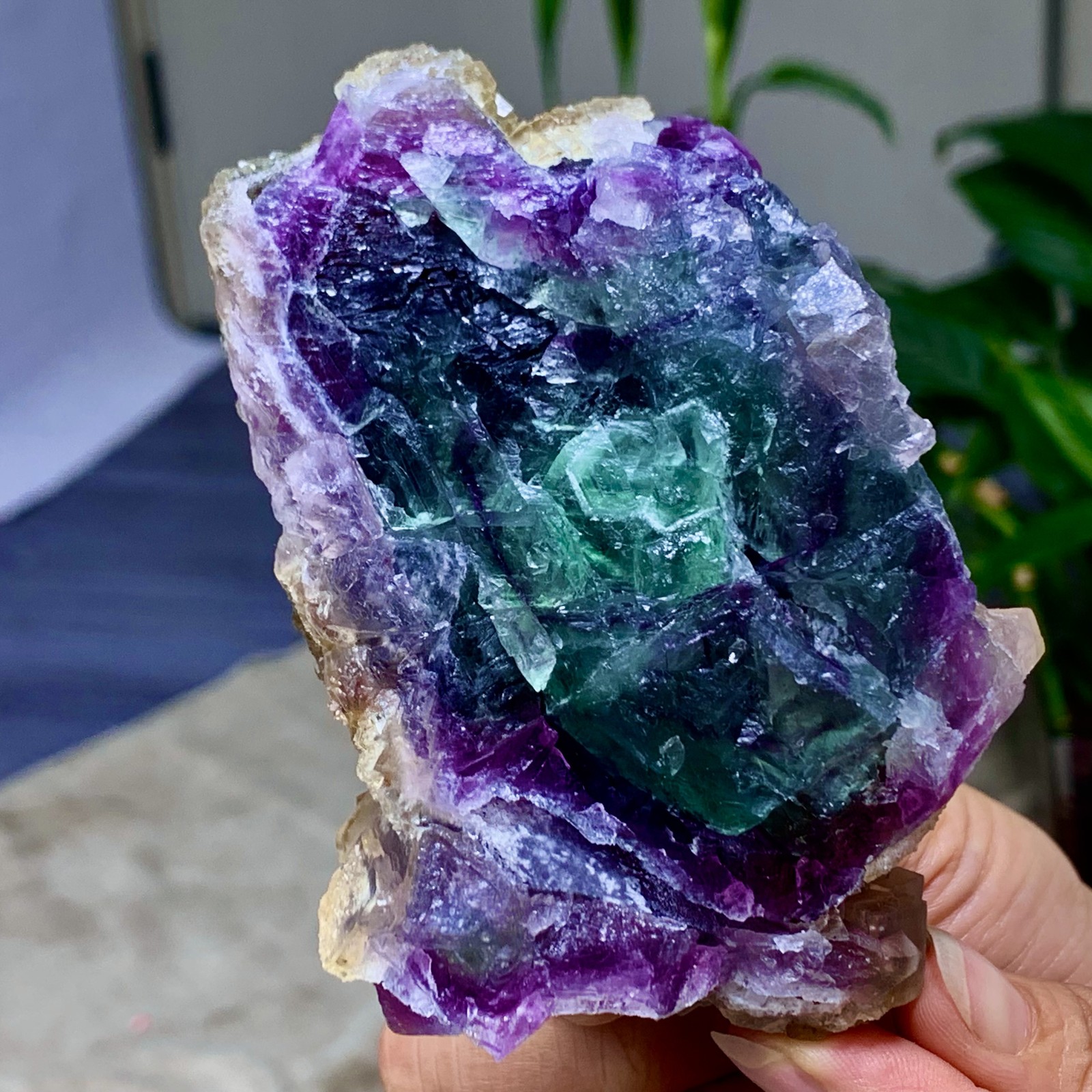 373G Rare transparent purple yellow octahedron fluorite  mineral crystal /China