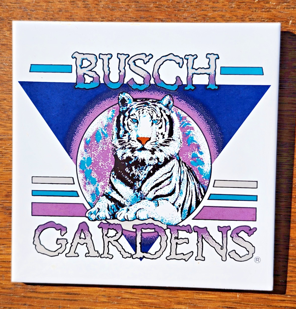 Vintage 1990s Busch Gardens White Tiger Ceramic Souvenir Art Tile Trivet 6x6