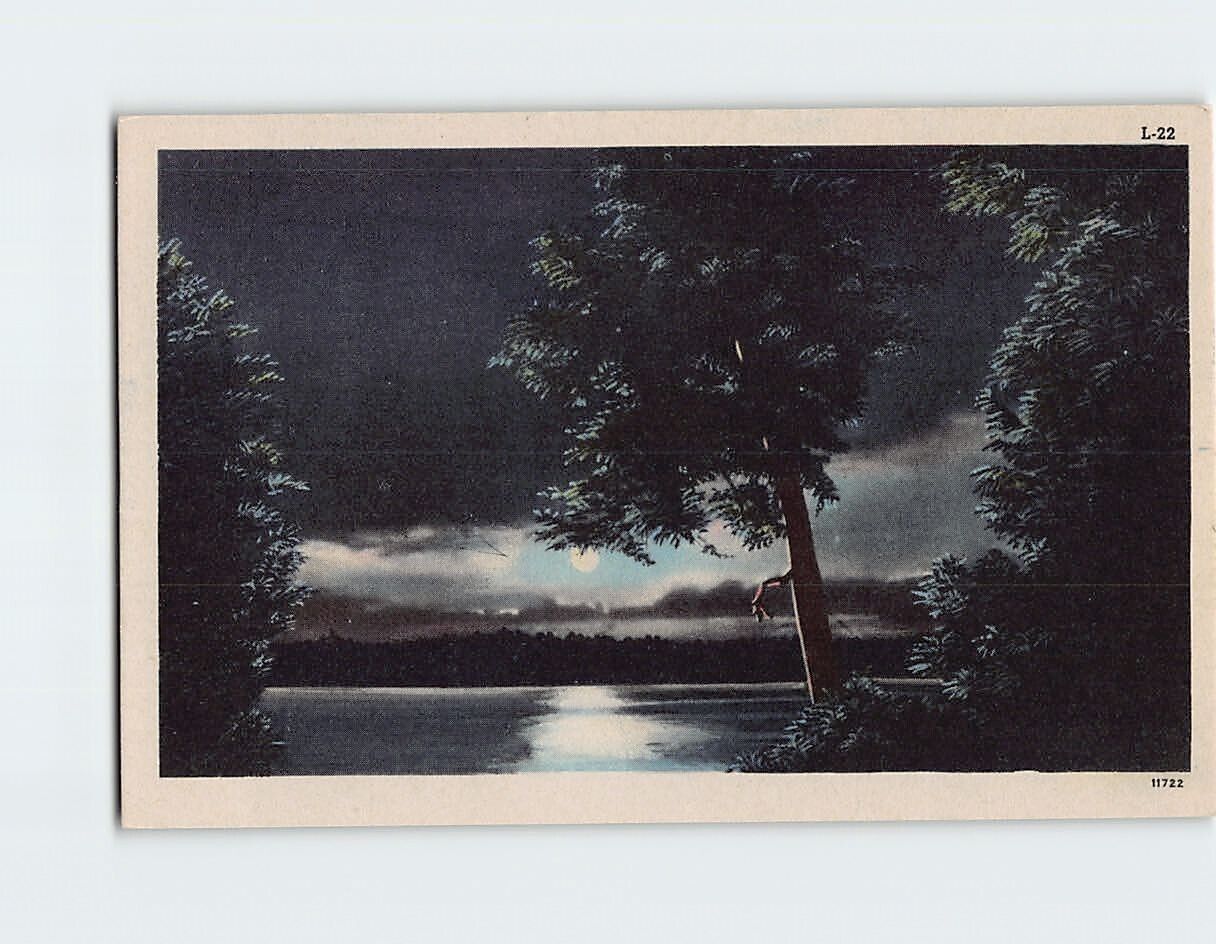 Postcard Moonlight Scene Galilee Farms of Elmer Salem County New Jersey USA