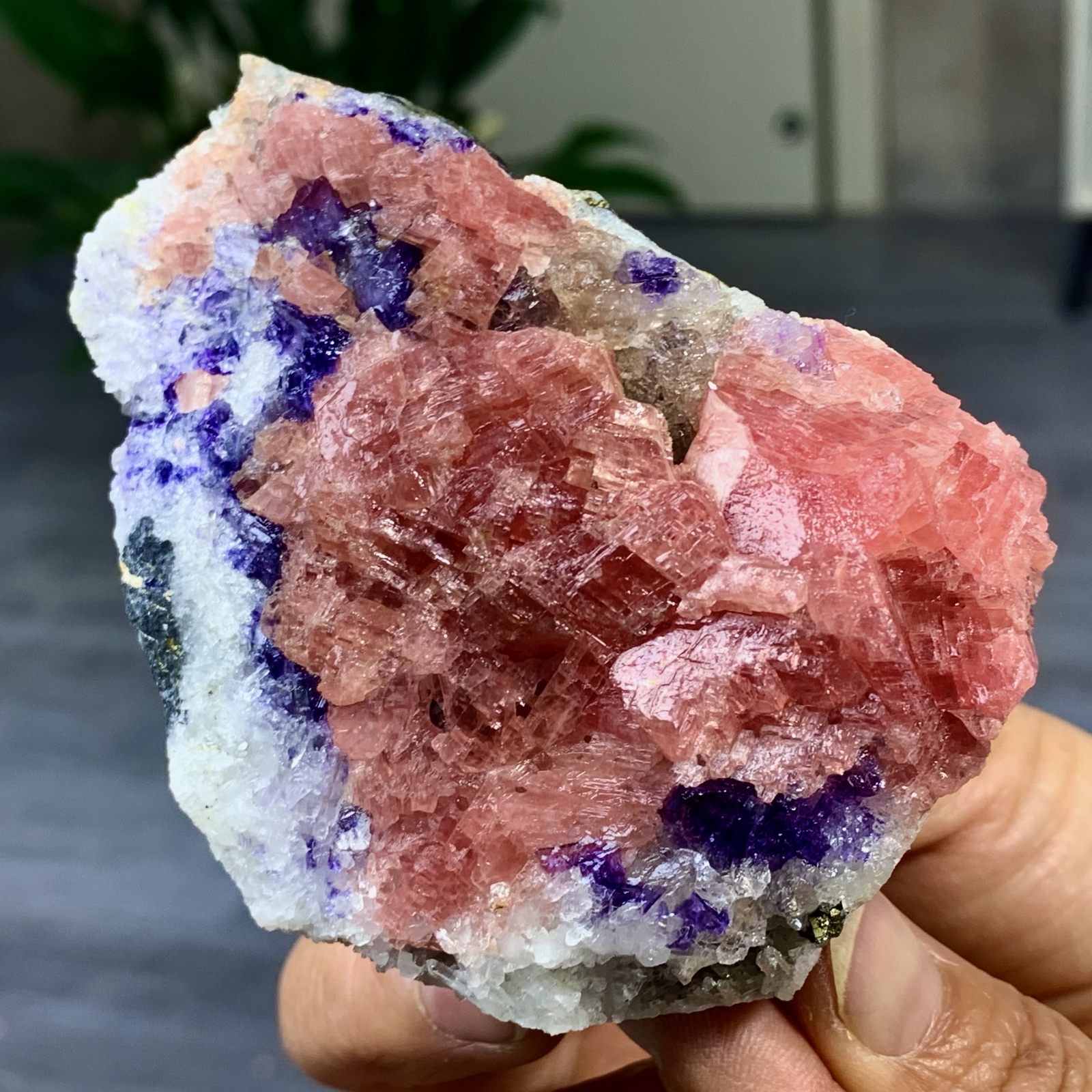 319G Natural rhodochrosite and purple fluorite specimen restoration-museum level
