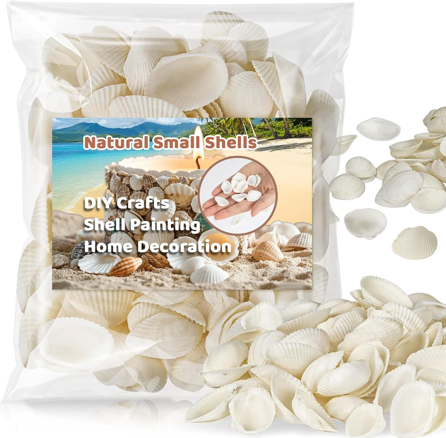 90 PCS White Sea Shells - 0.8-1.2 in Small Clam Shells for Crafts Tiny Seashells