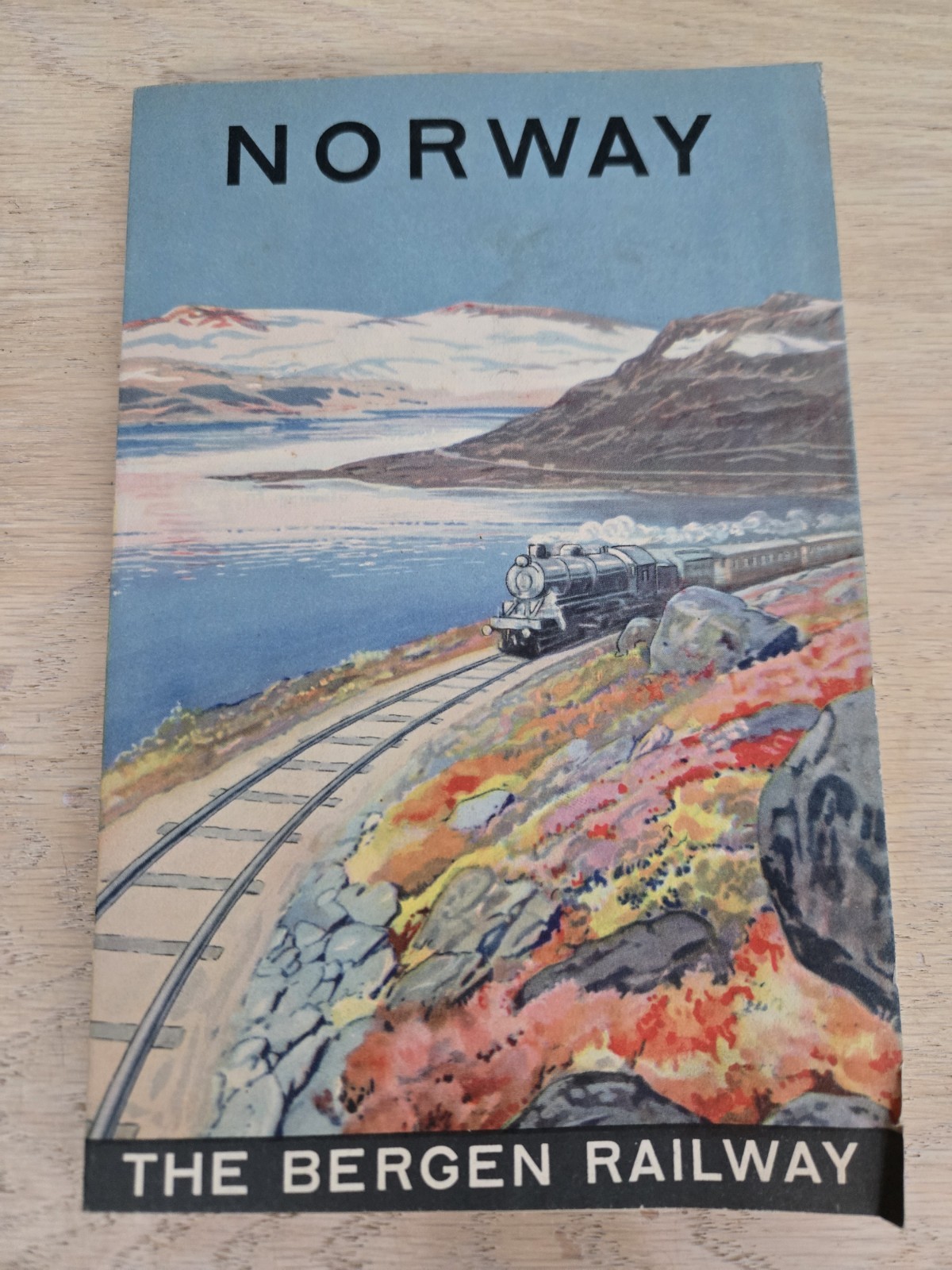 1938 Norway Bergen Railway Map of the Districts Around Bergen & Valdres Railway