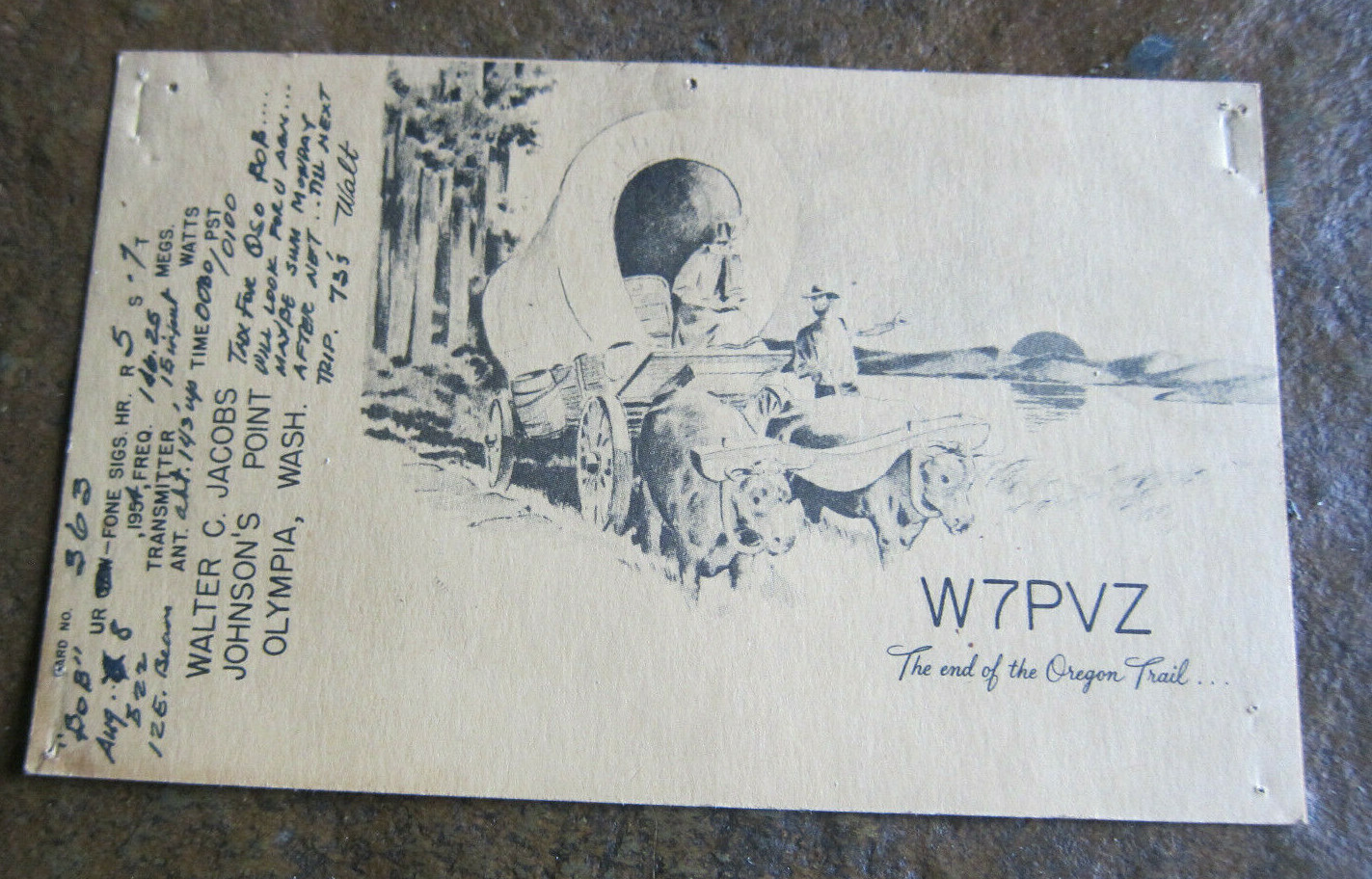 Vintage Postcard 1954 Johnson\'s Point Olympia Wa Oregon Trail QSL Ham Radio 