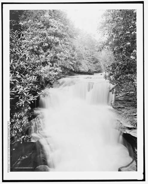 Falls of the narrows Sapphire NC 1902 Historic Old Photo