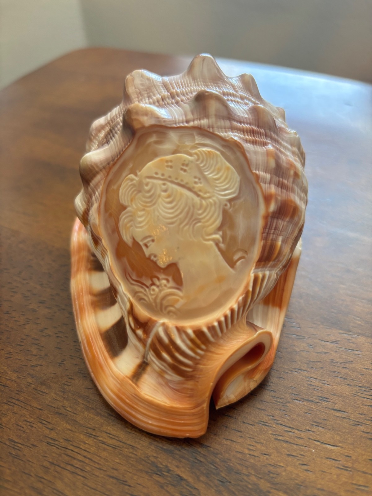 Vintage Italian Hand Carved Conch Shell Cameo Princess Lady Portrait Art 5”