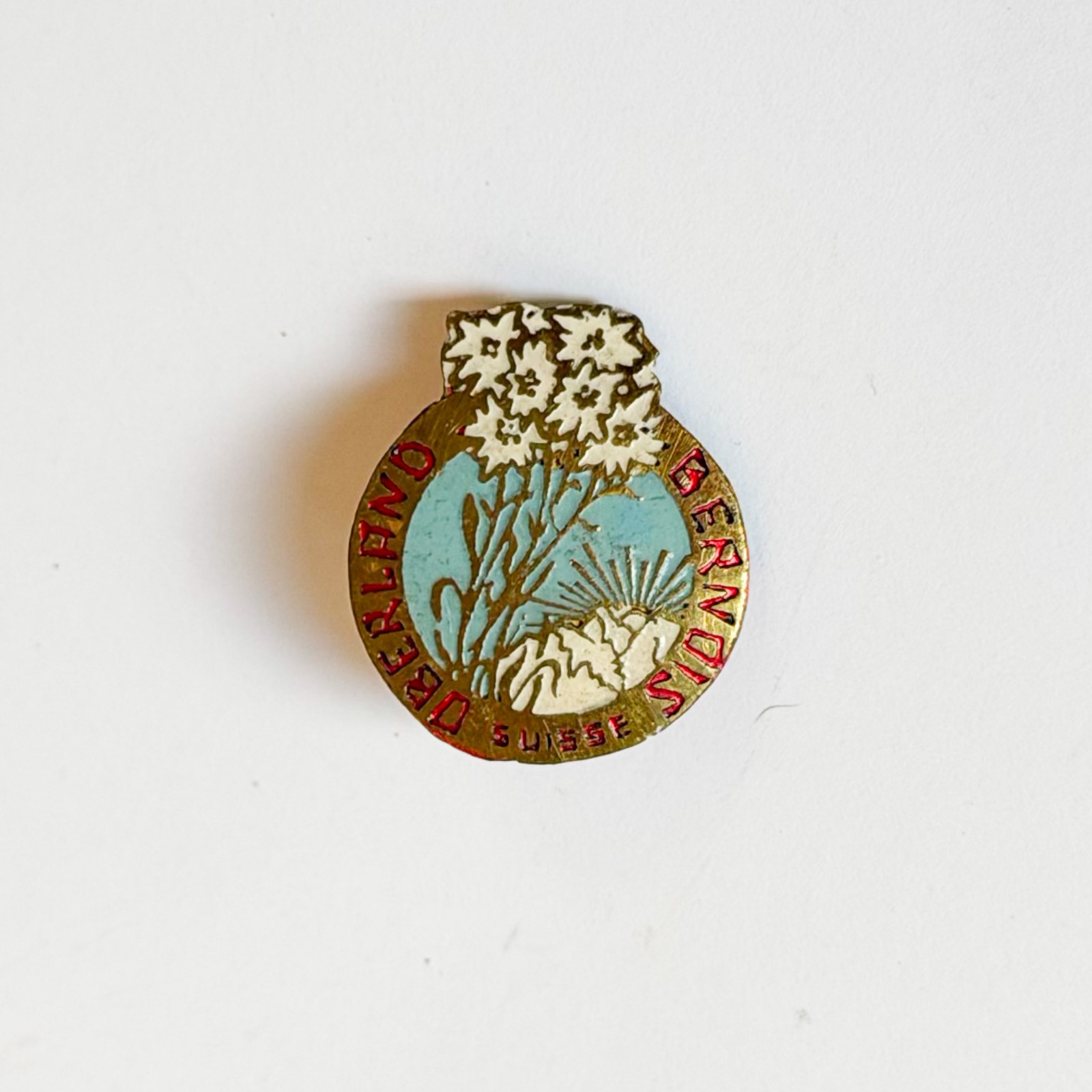 Switzerland Oberland Berndis Vintage Antique Enamel Badge Miniature Brooch