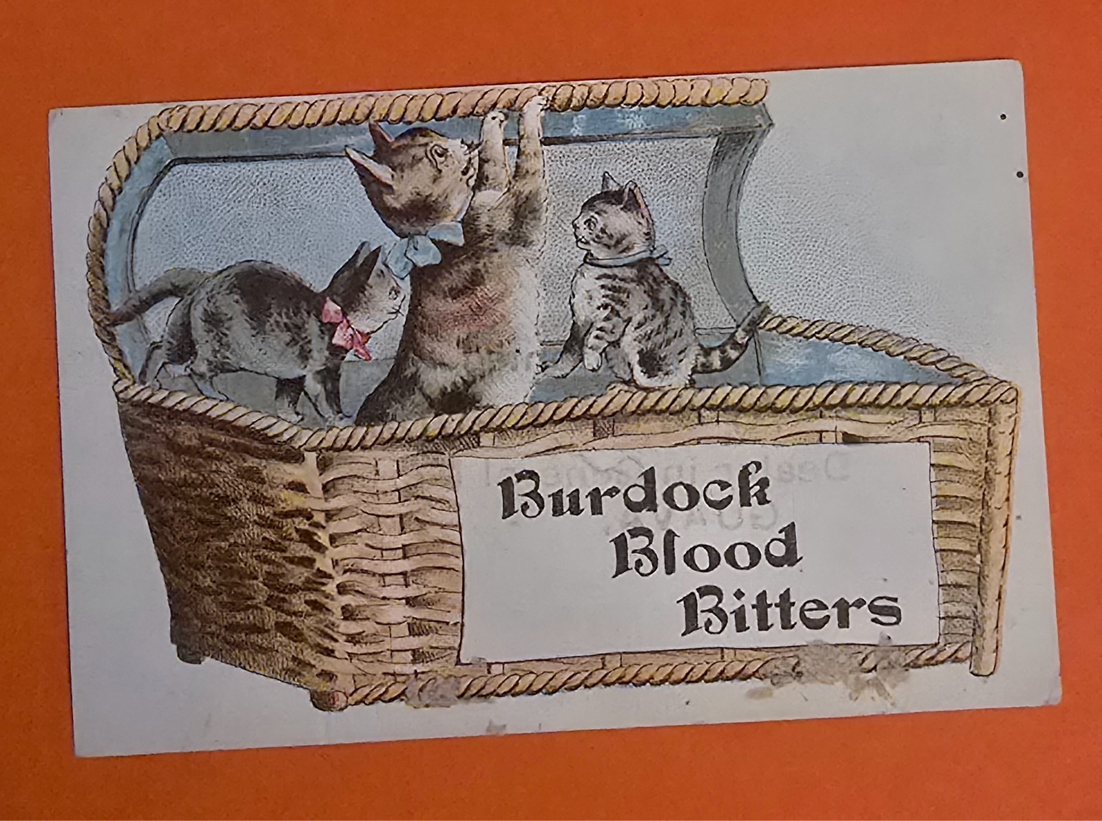 Antique Victorian Burdock Blood Bitters Trade Card Kittens Cats Basket Buffalo N Antique Victorian Burdock Blood Bitters Trade Card Kittens Cats Basket Buffalo N