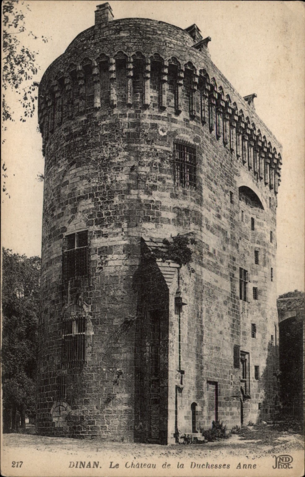 Dinant Le Chateau de la Duchesses vintage postcard q480