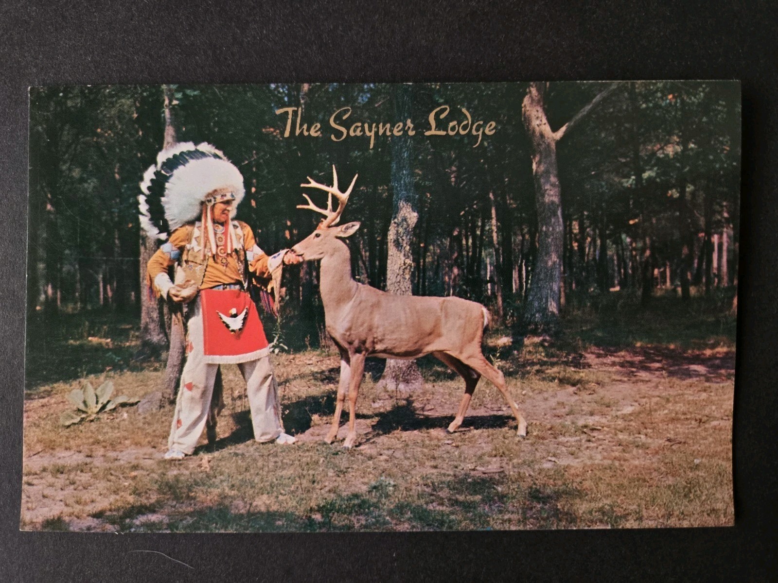 The Sayner Lodge Sayner Wisconsin \