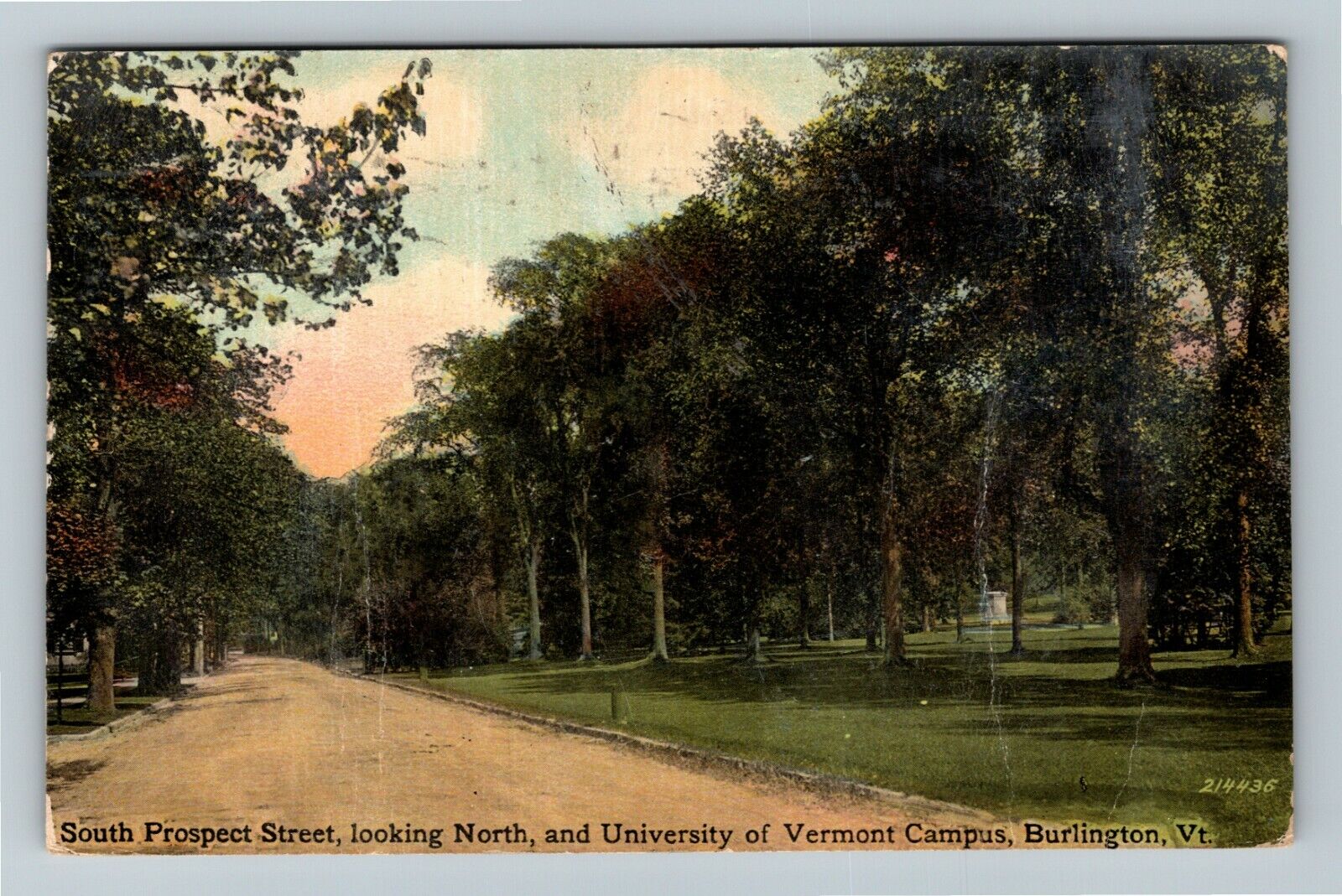 Burlington VT-Vermont, South Prospect Street, Campus c1911 Vintage Postcard