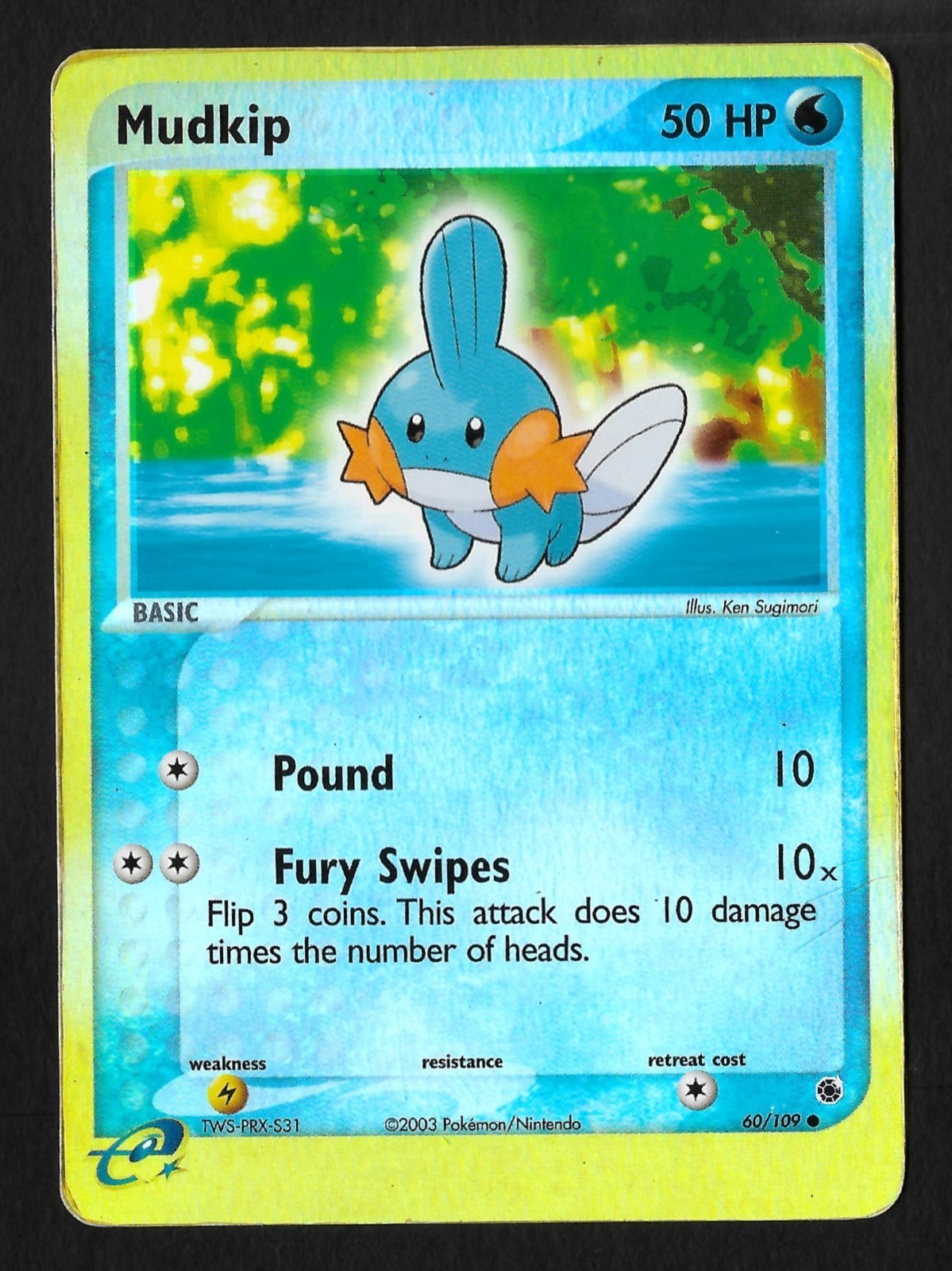 Mudkip 60/109 - Ruby & Sapphire - Reverse Holo - EN - MP / PL - Pokemon 2003