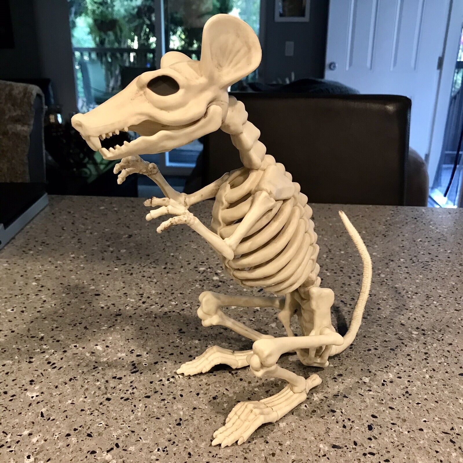 11” Large Rat Skeleton Halloween  Decoration TikTok Viral Mouse Bones