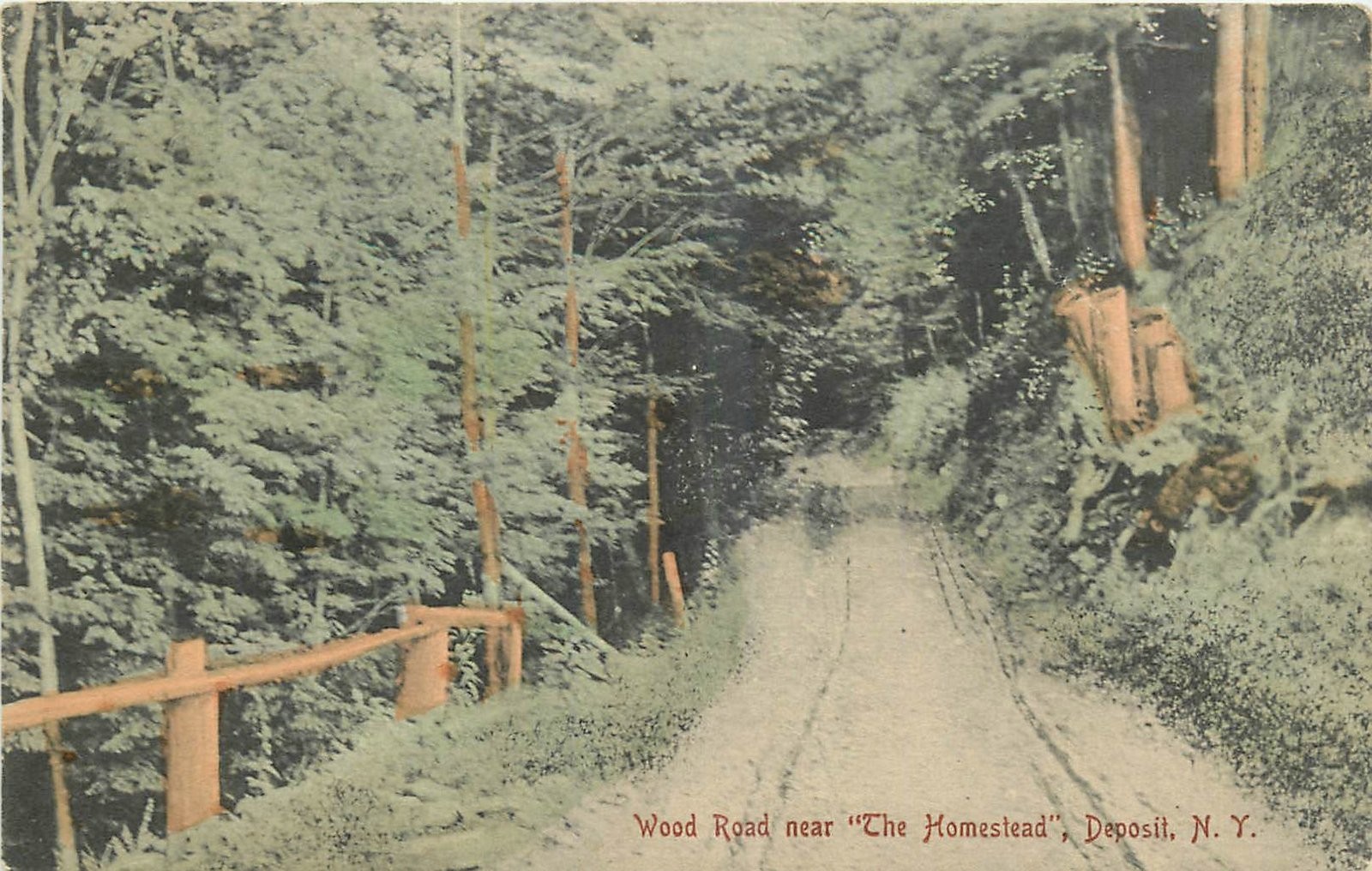 c1910 Deposit New York Wood Road Homestead Carl SL & CO Postcard 26-5048