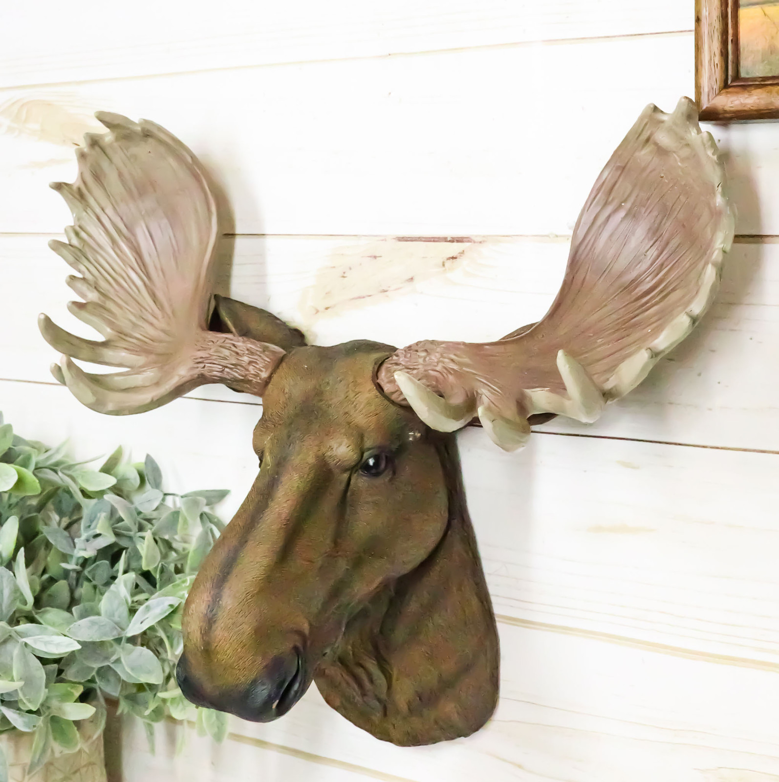 North American Granddaddy Bull Moose with Antlers Trophy Head Wall Decor 15\