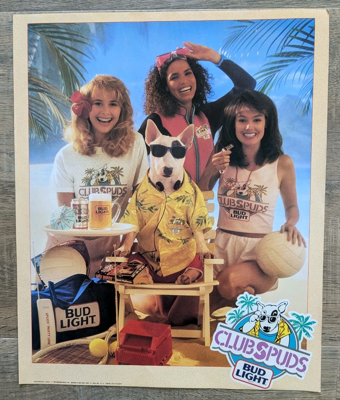1988 Budweiser Club Spuds Mackenzie Poster Beer 14x17 Vintage Original