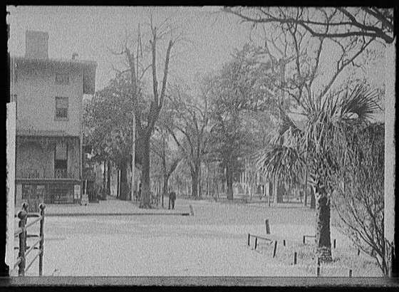 Photo:Savannah Georgia Liberty St 1906 street scene buildings trees