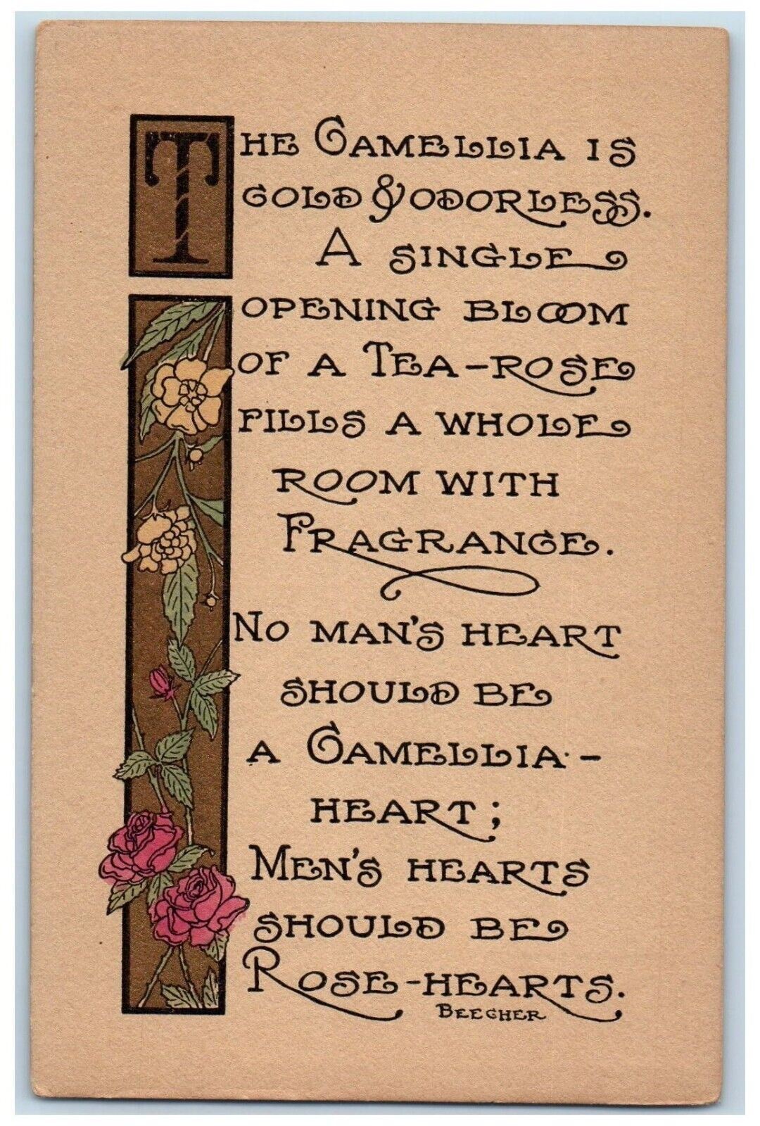 c1910\'s Raymond Howe Motto Camellia Flowers Arts Crafts Antique Postcard c1910\'s Raymond Howe Motto Camellia Flowers Arts Crafts Antique Postcard