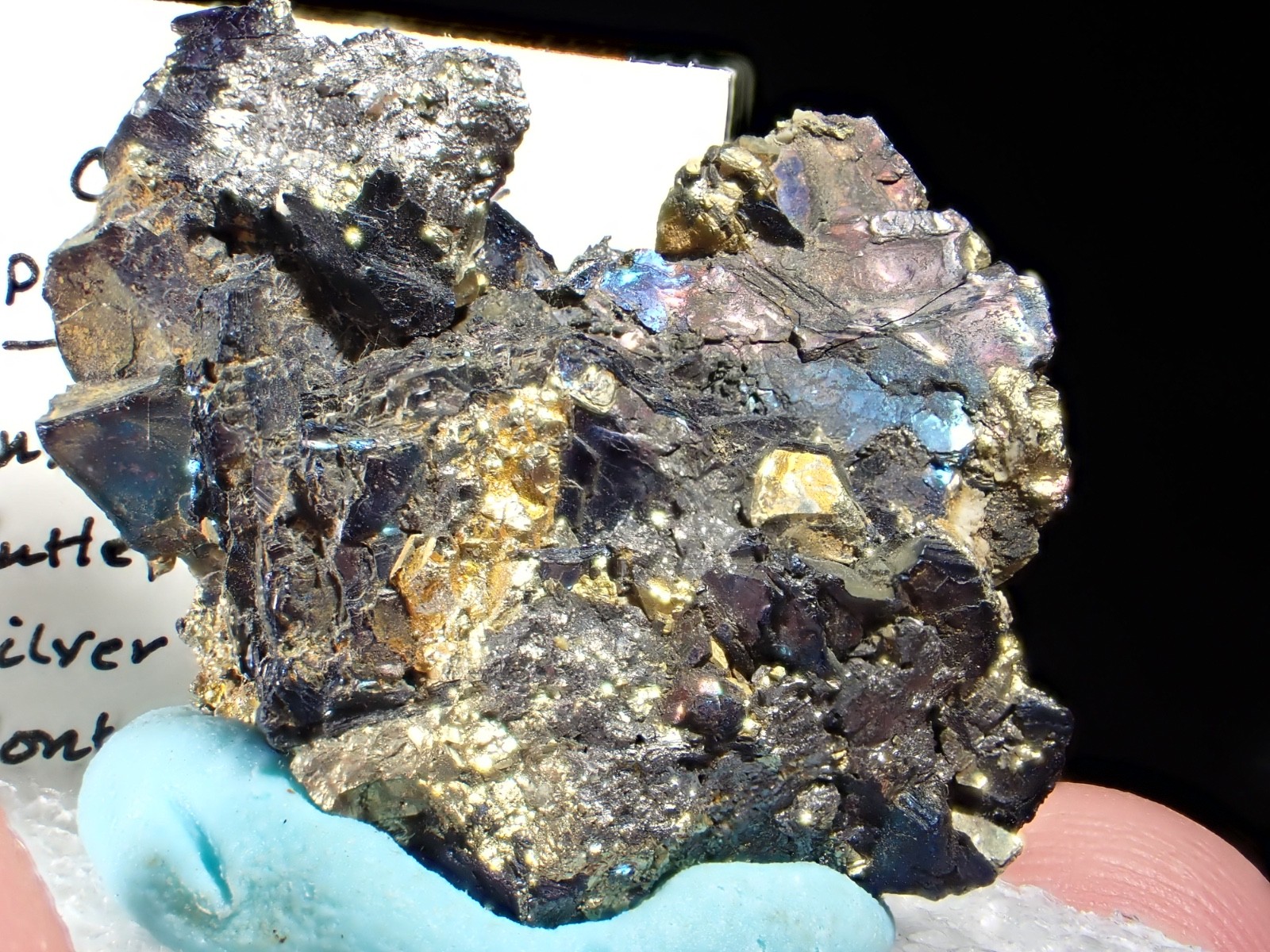 Killer Chalcocite & Pyrite pseudo Covellite Crystals Anselmo Mine Butte Montana