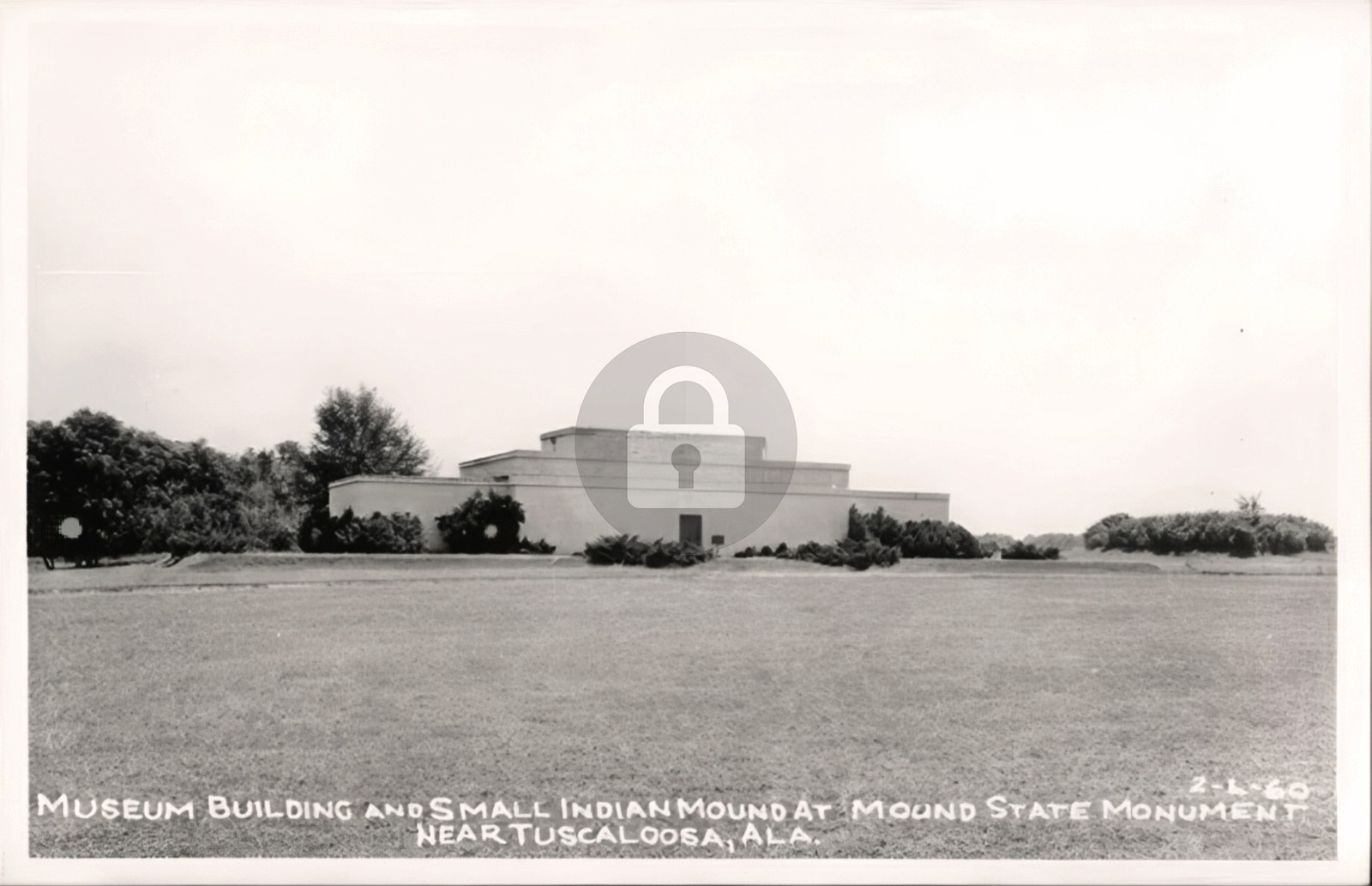 Tuscaloosa AL Museum Bldg. & Small Indian Mound RPPC Photo Postcard COPY