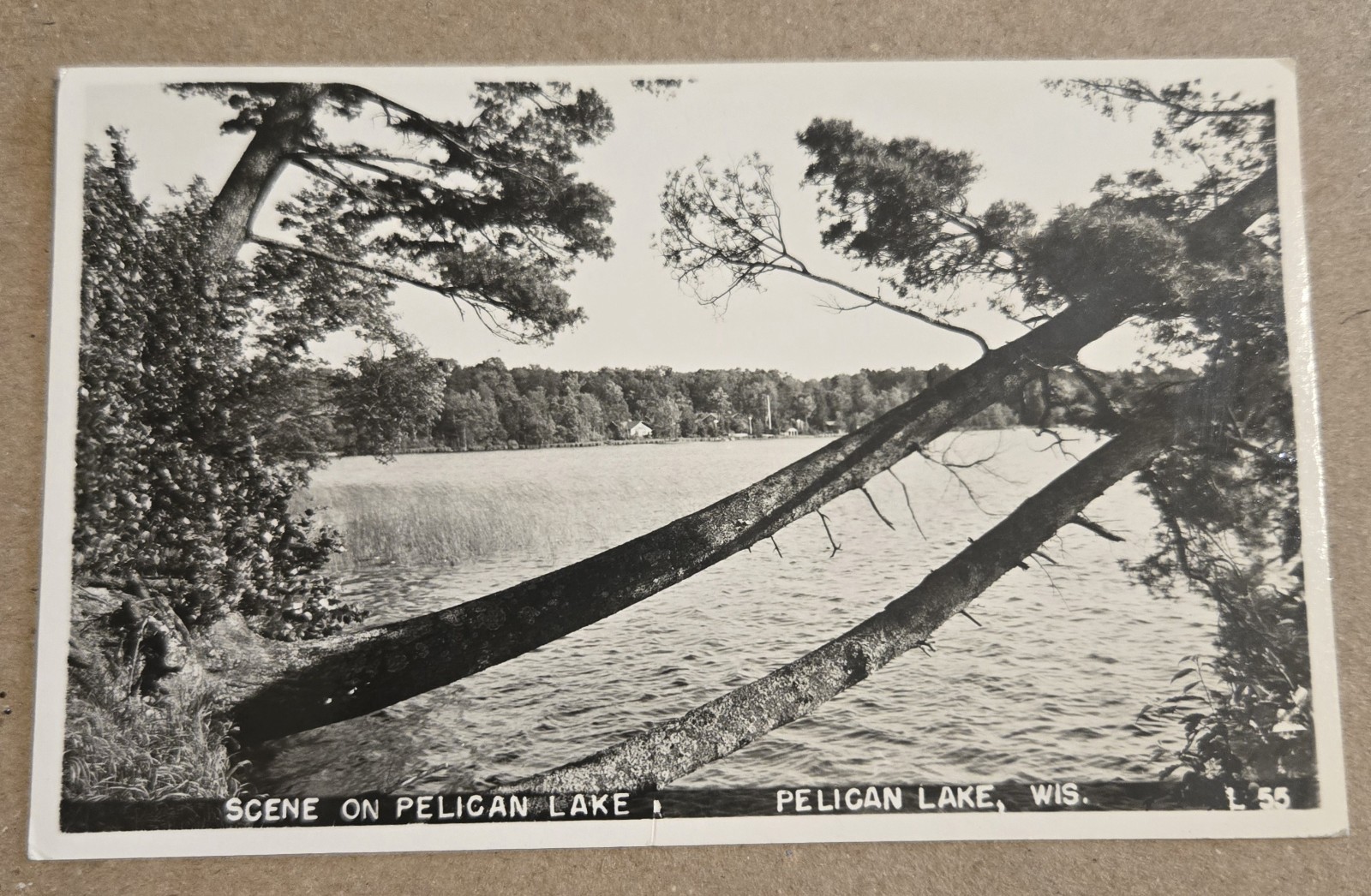 Scene On PELICAN LAKE Wisconsin WI Used 1950 Real Photo Postcard FG 