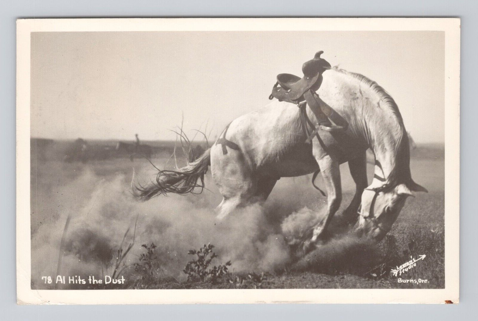 Postcard RPPC Al Hits the Dust Burns Oregon Bucking Horse Saddle