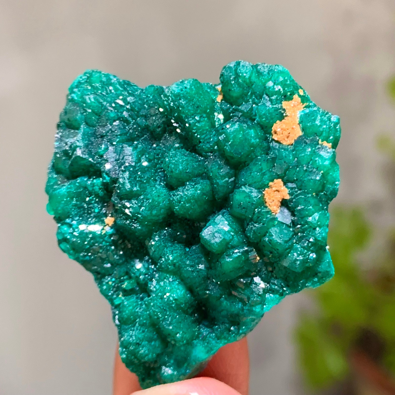 19G Natural green dioptase emerandine gemstone cluster mineral specimen