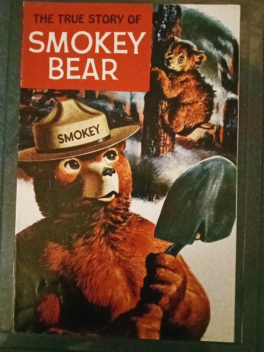 Vintage 1969 Comic THE TRUE STORY OF SMOKEY THE BEAR  Parks Fire Prevention