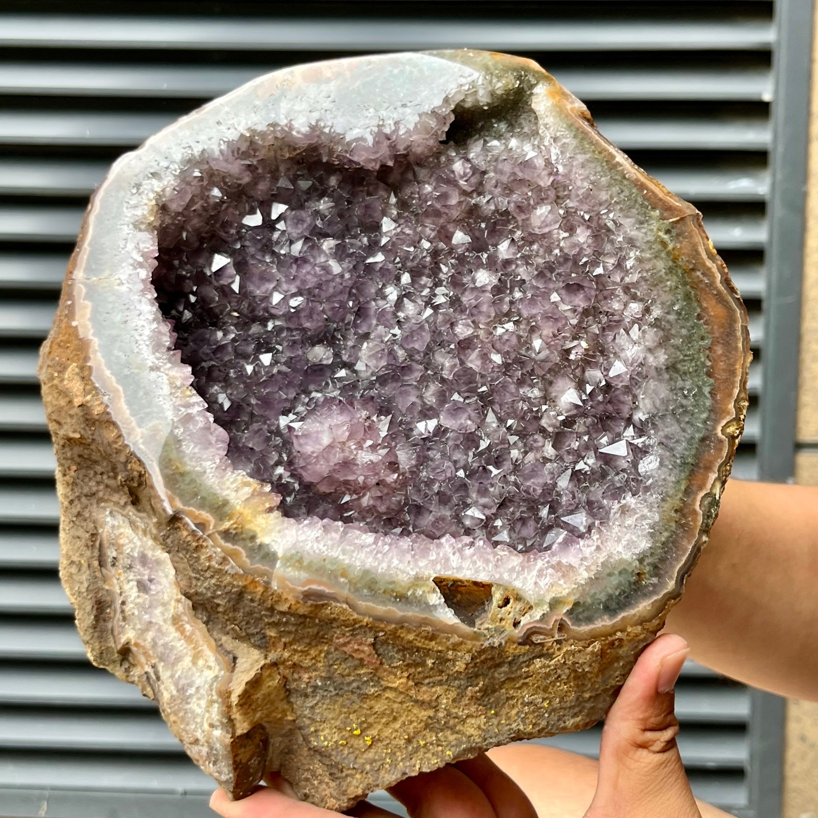 8.8 lb  Natural Amethyst geode quartz cluster crystal specimen Healing