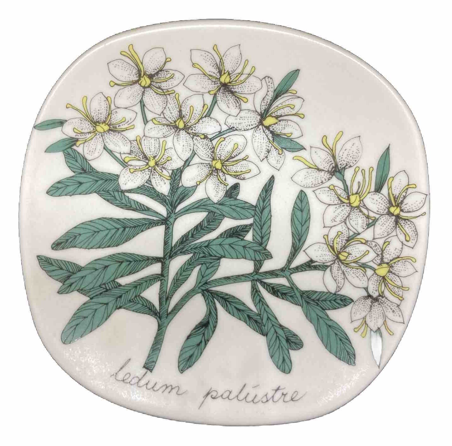 vintage Esteri Tomula  Arabia Finland ceramic Botanica wall plate ledum palustre