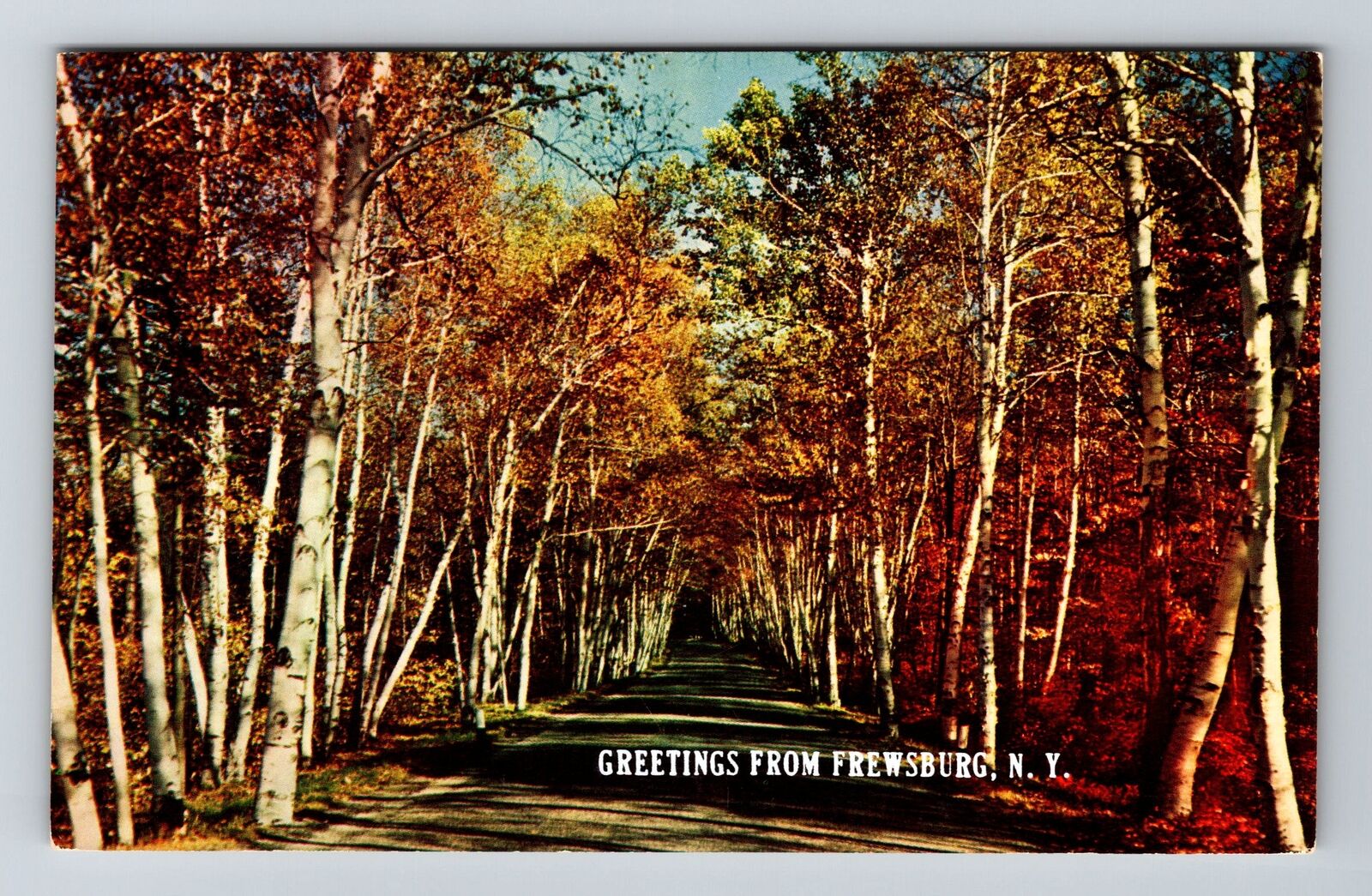 Frewsburg NY-New York, Scenic Greetings, Vintage Postcard