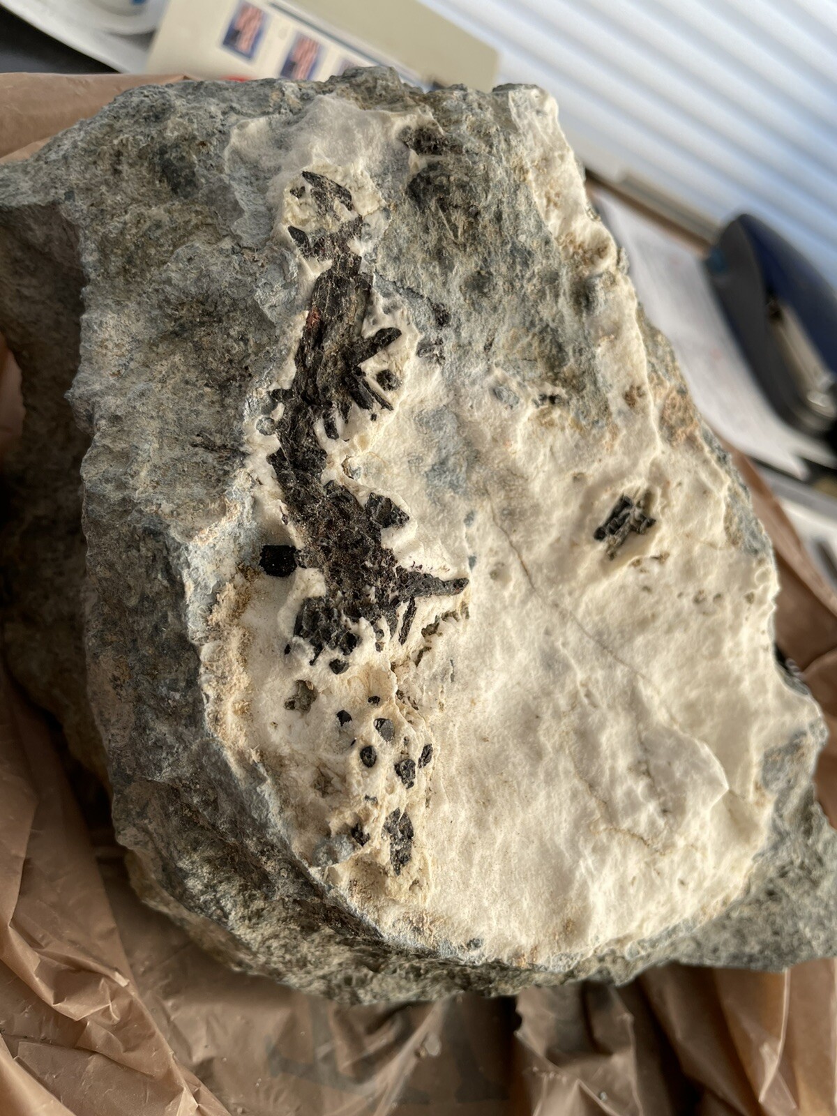 Neptunite Matrix on a large 7 pound host specimen Neptunite Matrix on a large 7 pound host specimen