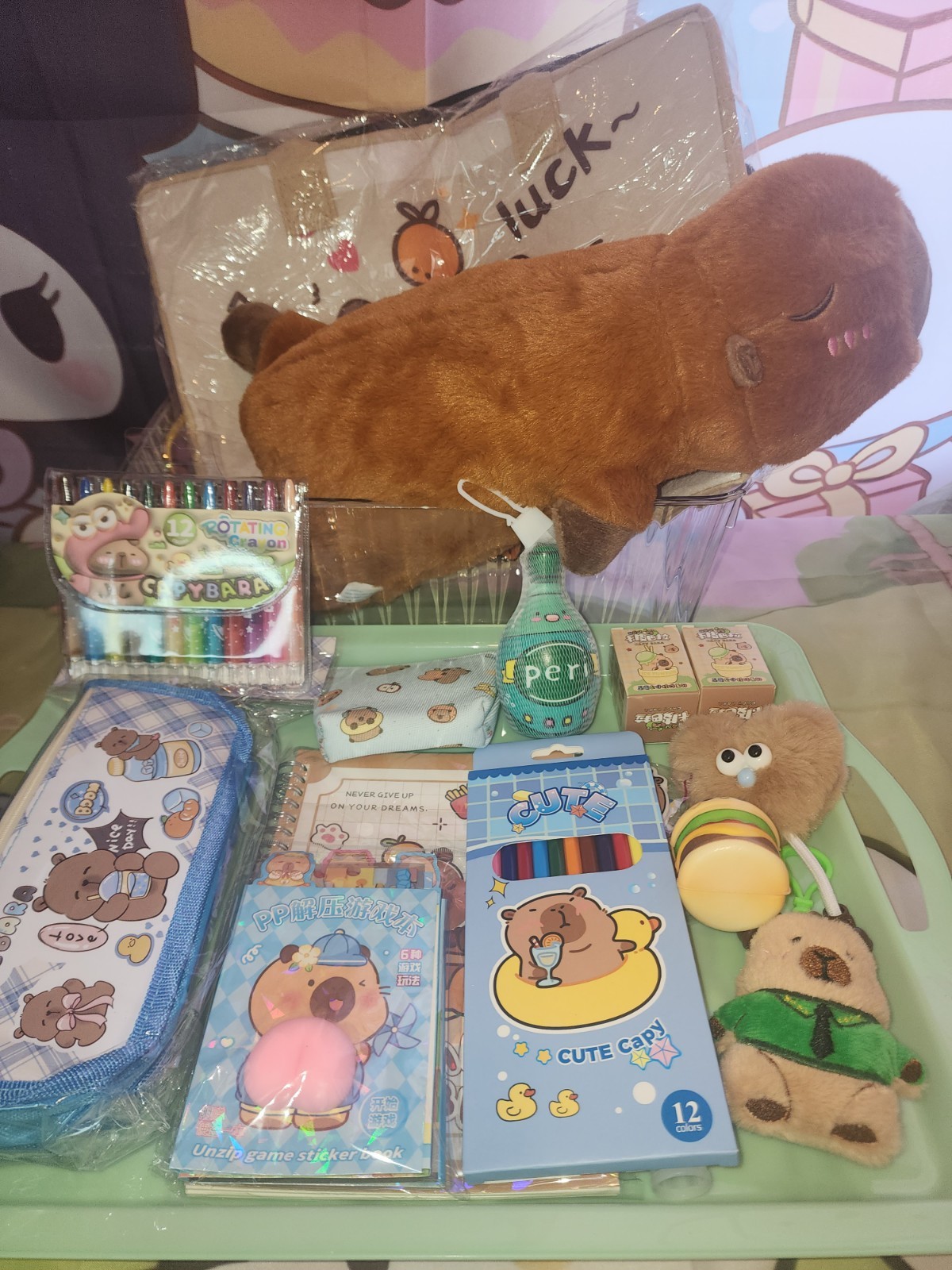 Ultimate Capybara Lovers Gift Set Plush Stationery Pouch Plush Bag Charm New Ultimate Capybara Lovers Gift Set Plush Stationery Pouch Plush Bag Charm New