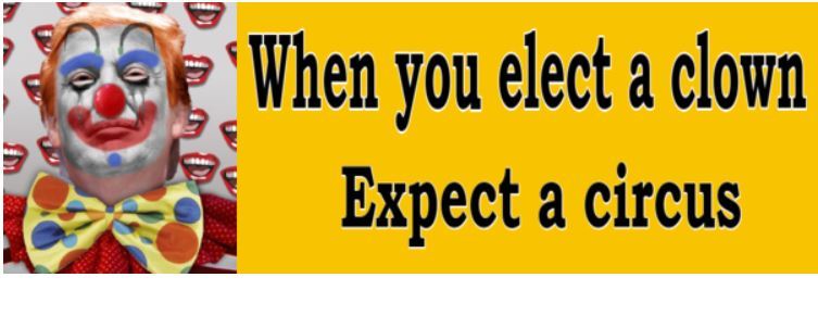 When you Elect a Clown - ANTI Trump POLITICAL BUMPER STICKER